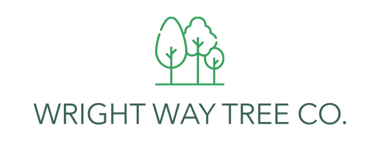Wright Way Tree Company 
