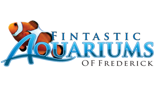 Fintastic Aquariums logo