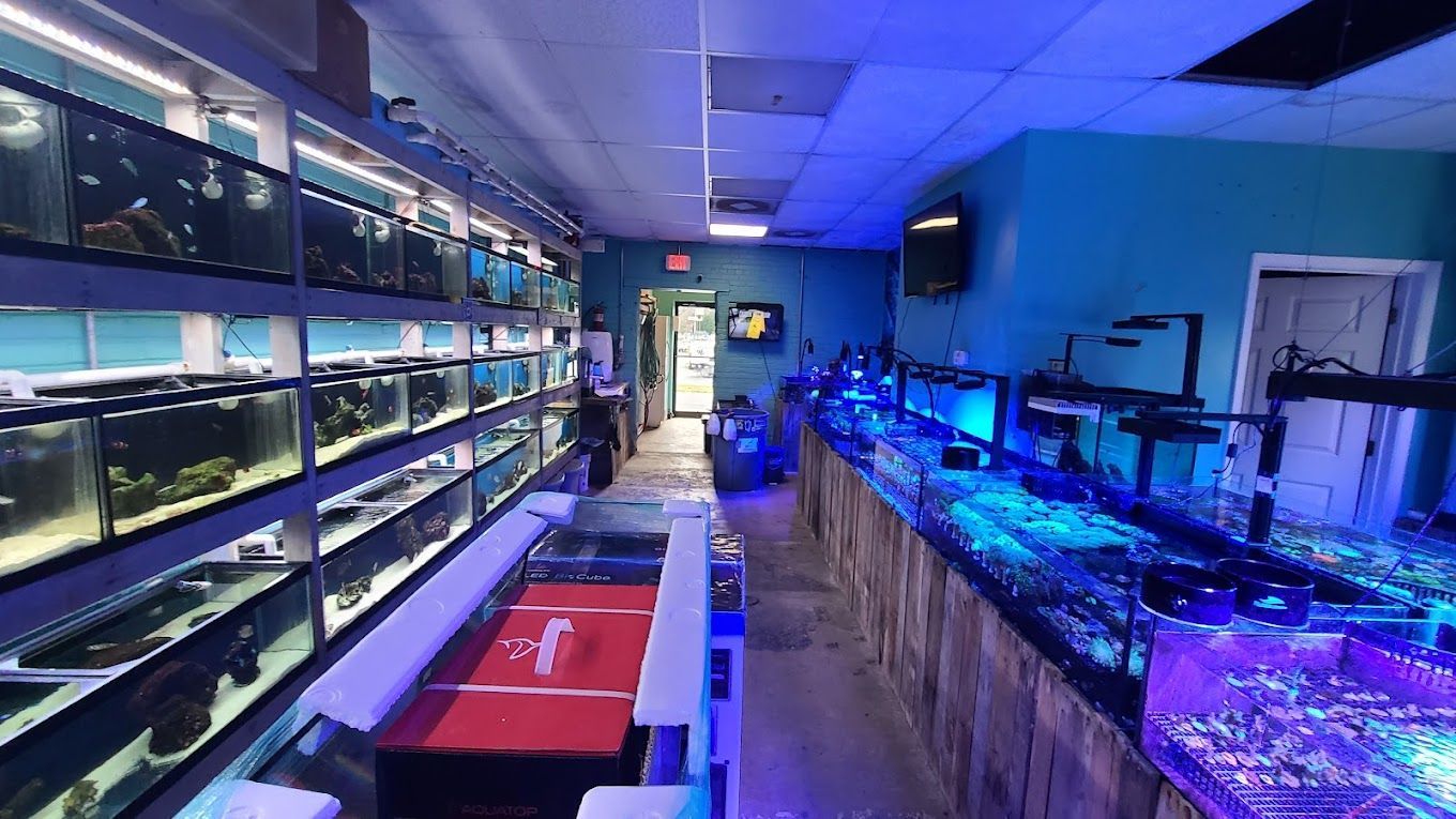 High End Aquarium Store
