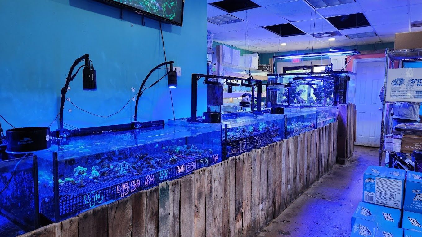 Aquarium Store
