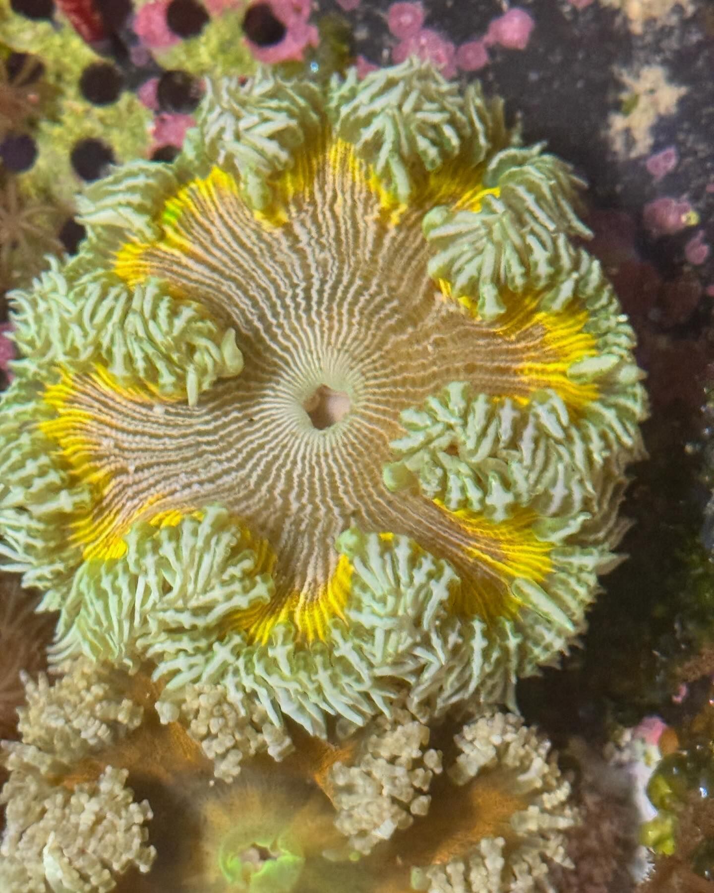 Fintastic Aquariums