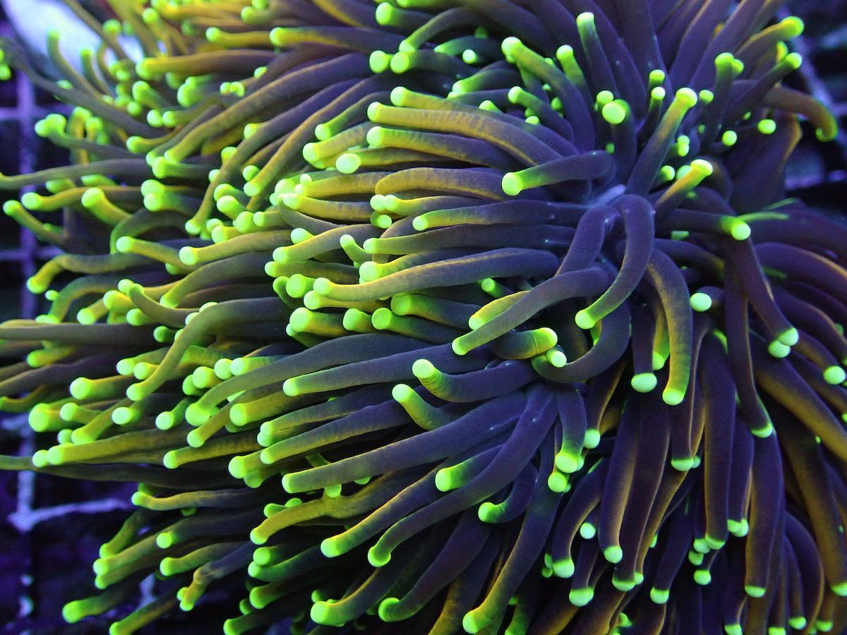 Fintastic Aquariums