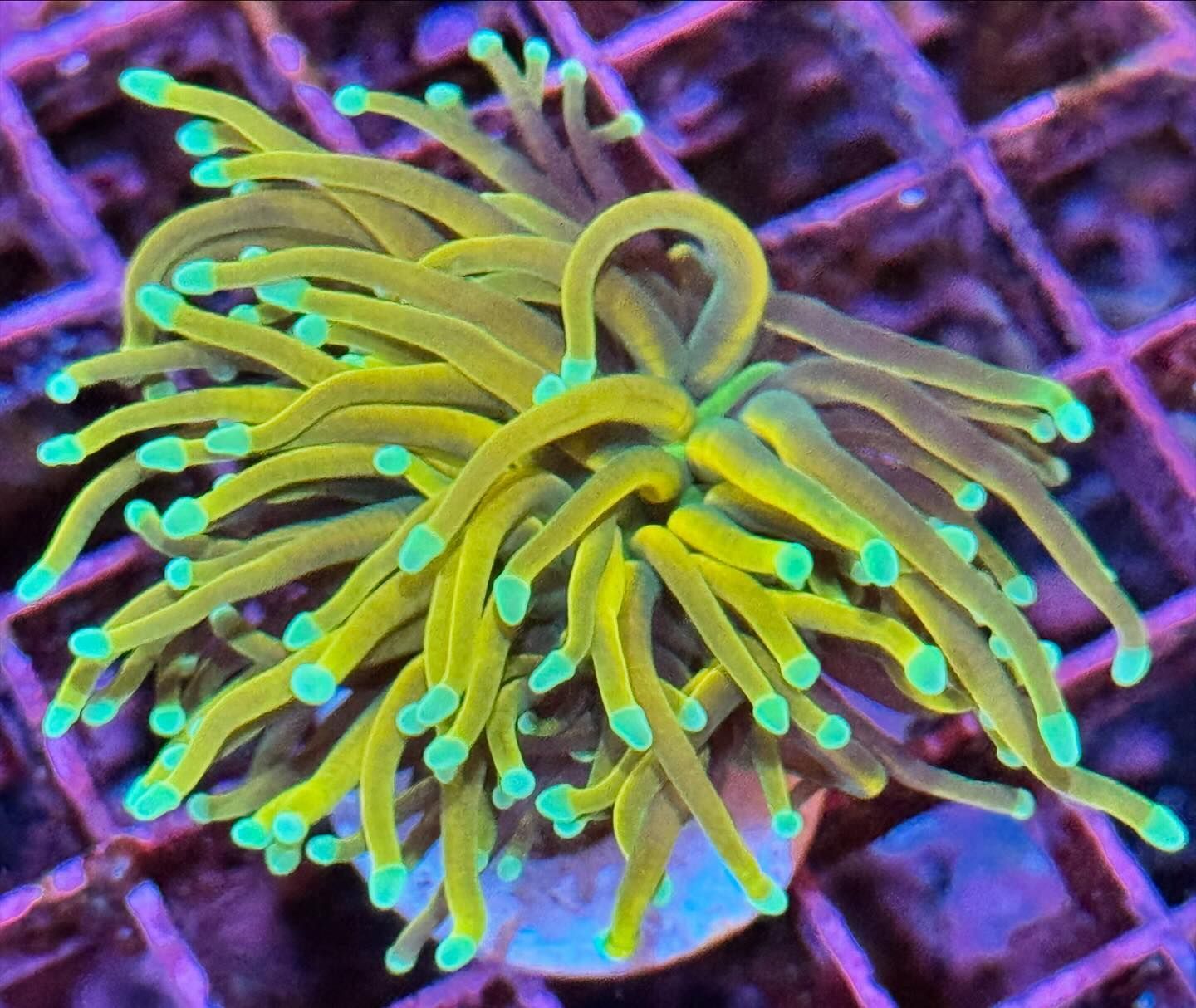 Fintastic Aquariums
