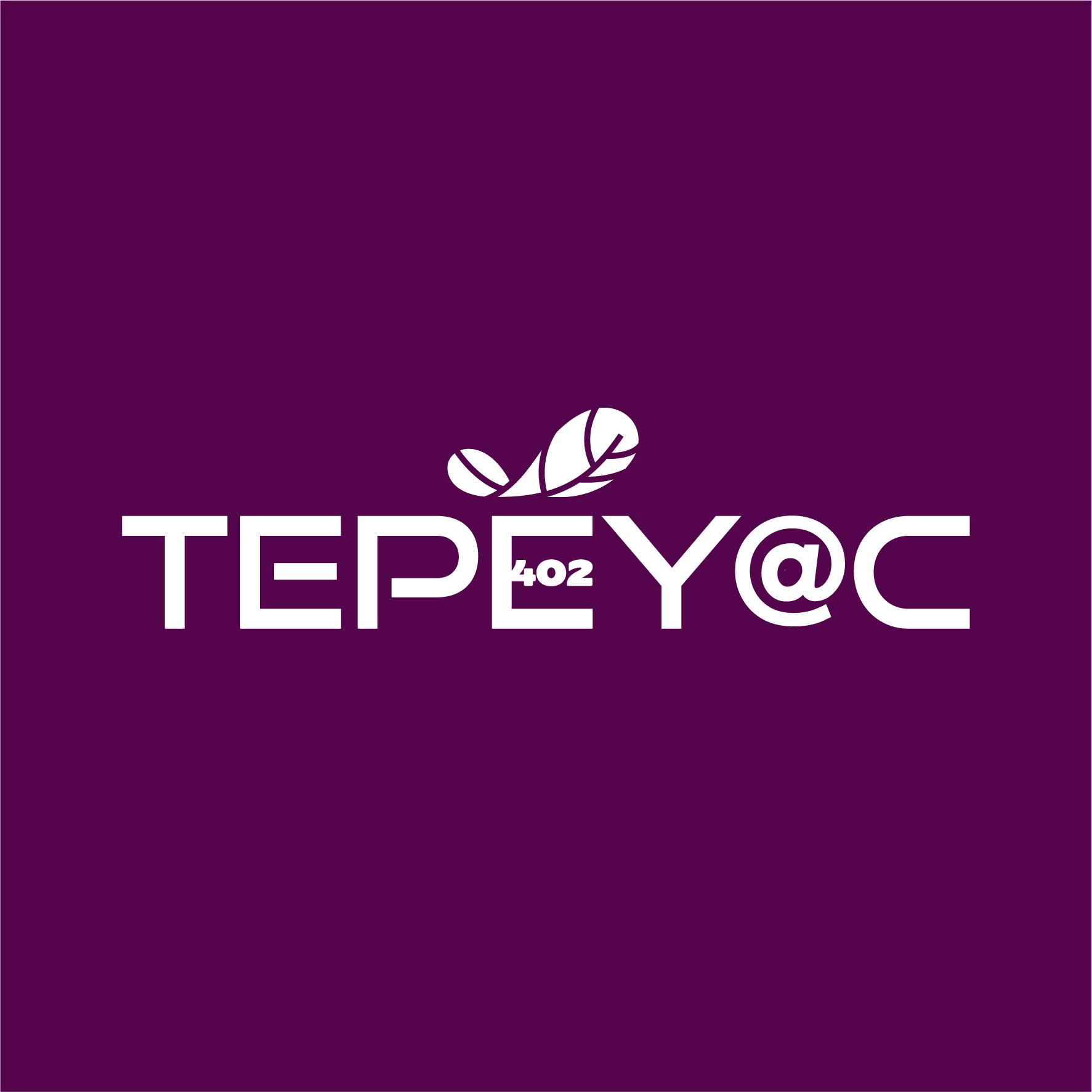 TEPEYAC 402 logo