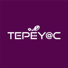 TEPEYAC 402 logo