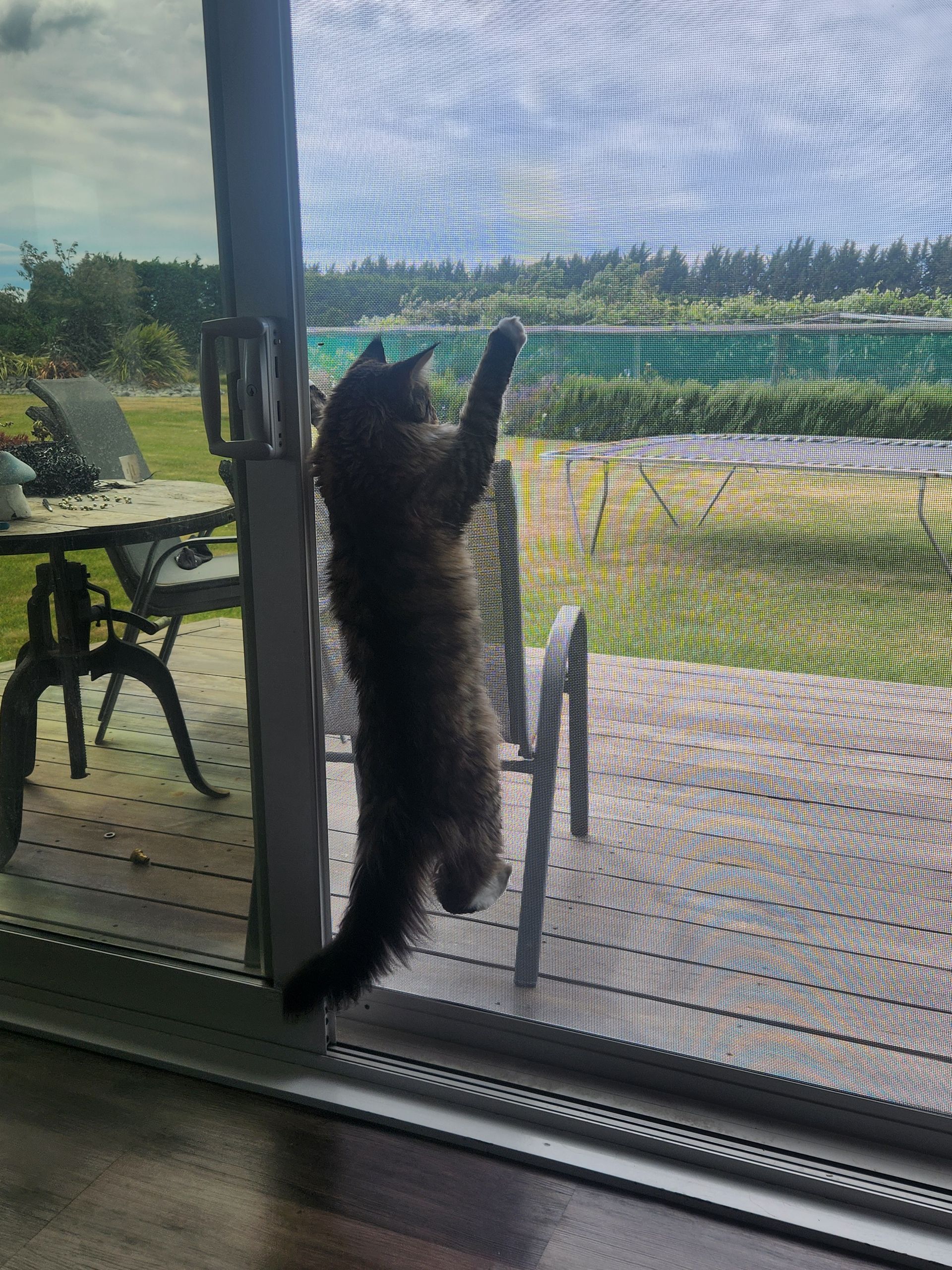 A living room with a sliding glass door leading to a patio.