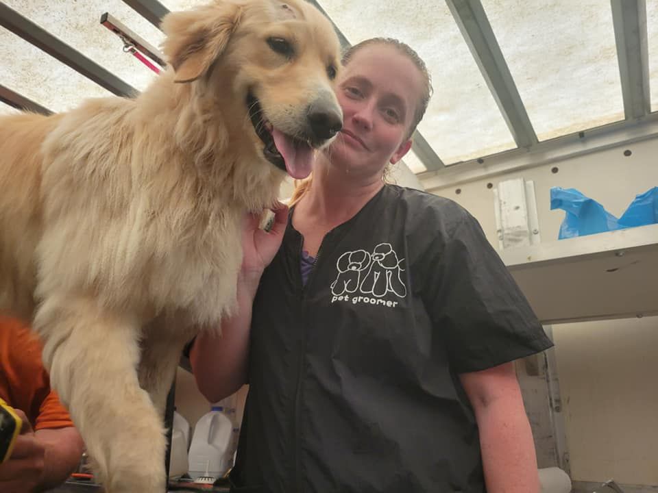 Woman in black smock with Golden Retriever, both smiling in a grooming setup.