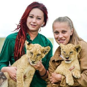 Kontakt zoo