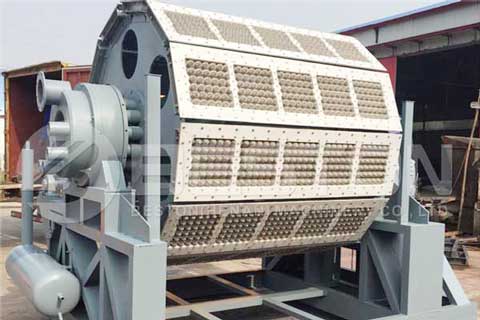 egg tray manufacturing unit