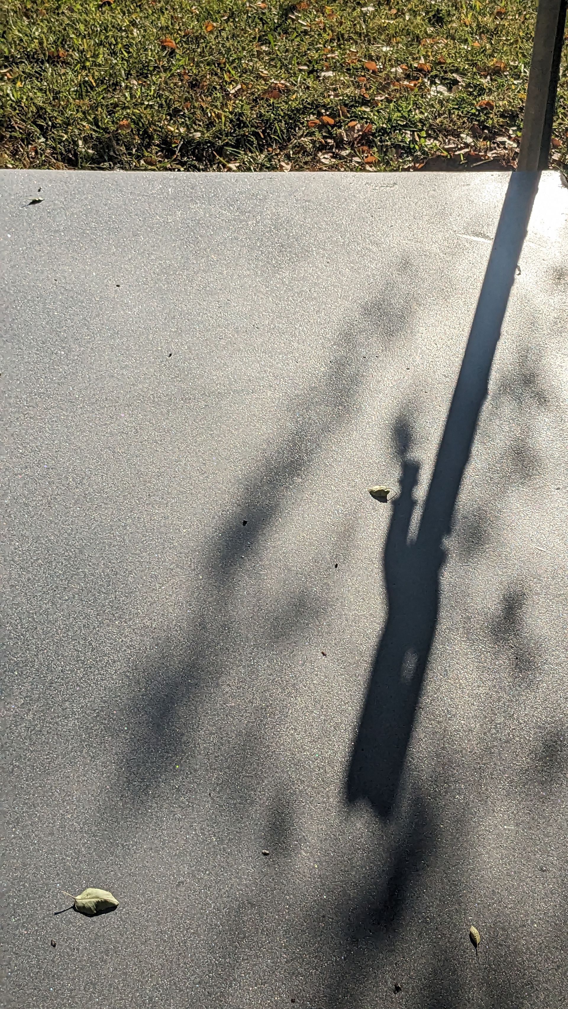 a person 's shadow is cast on a concrete surface .