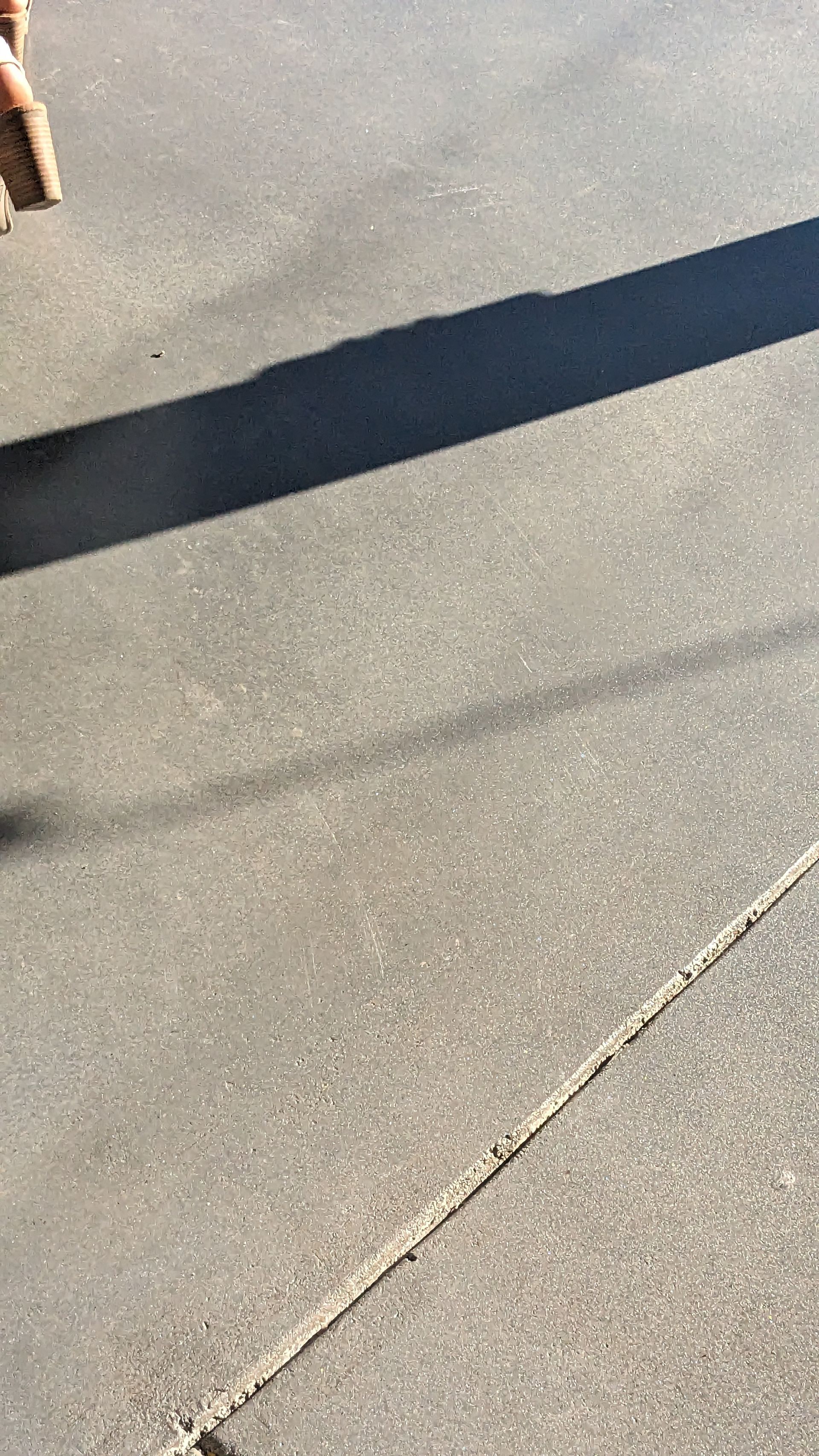 a person is walking a dog on a leash on a sidewalk .