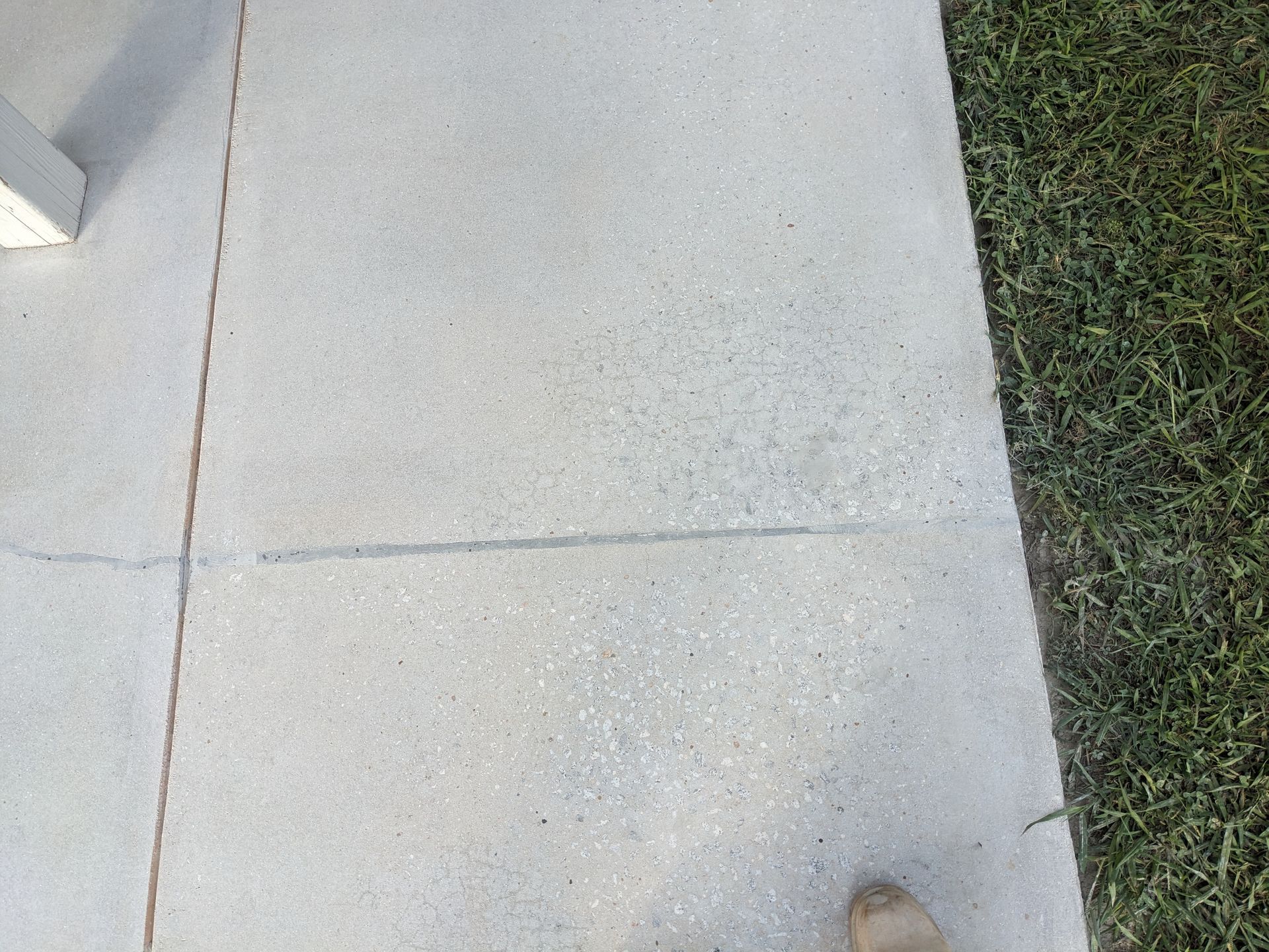 A person standing on a sidewalk next to a grassy area.