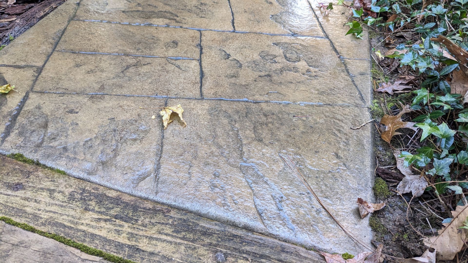 A close up of a concrete walkway with a leaf on it.