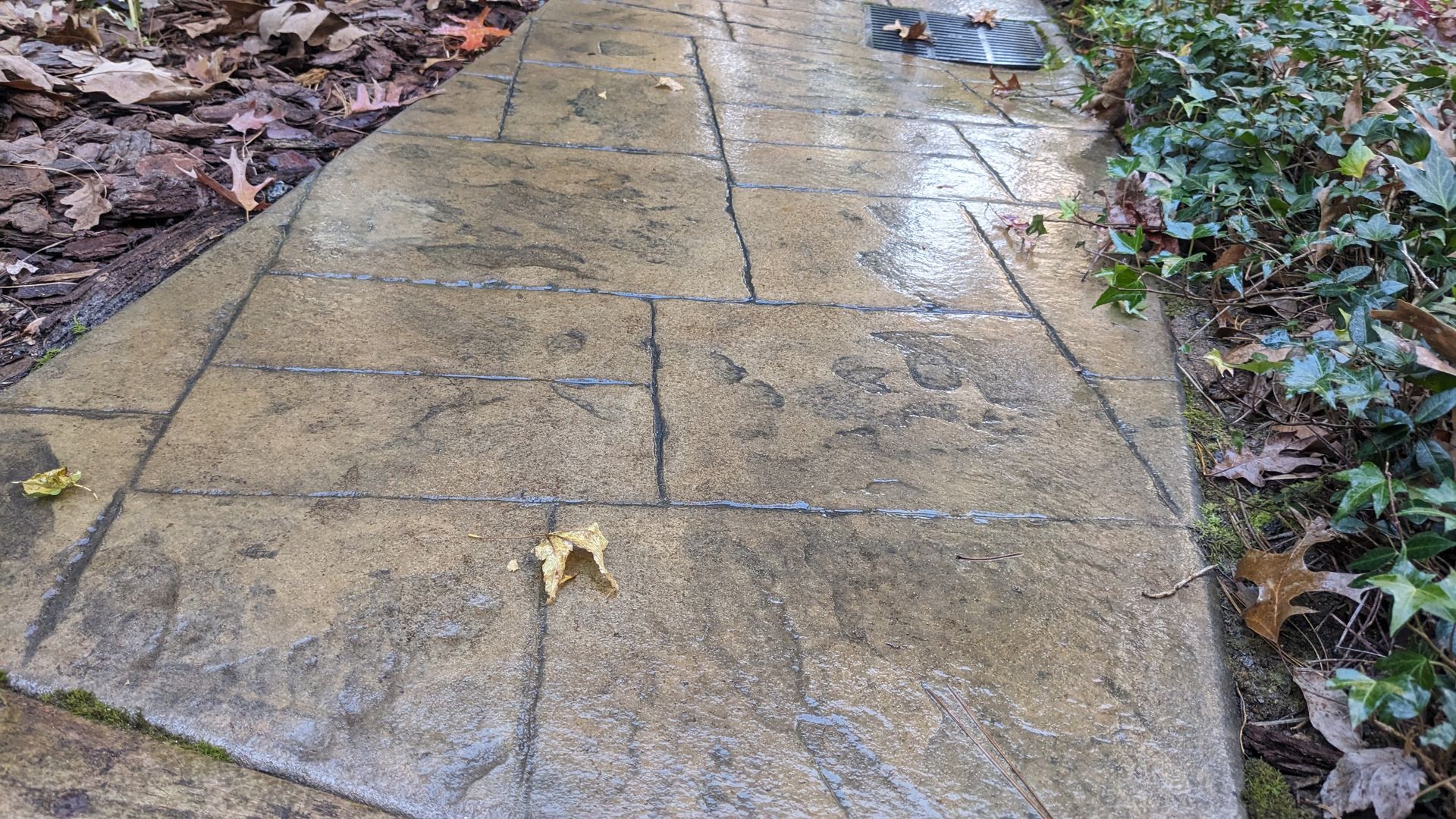 A concrete walkway with a leaf on the side of it.