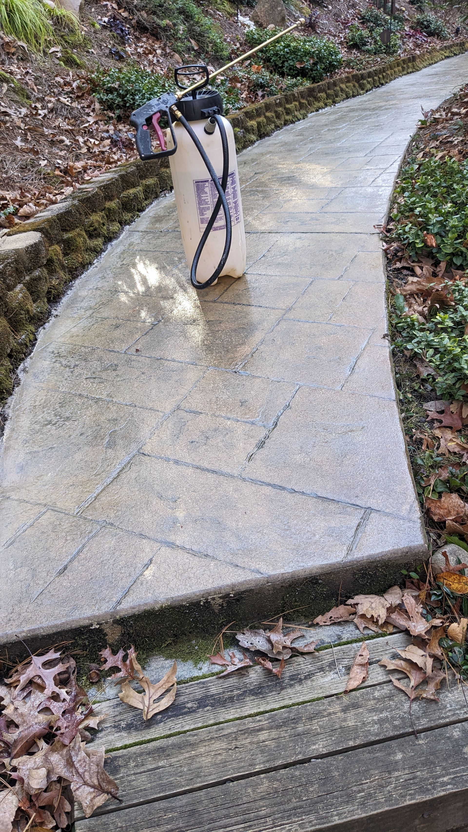 A spray bottle is sitting on a sidewalk next to a path.