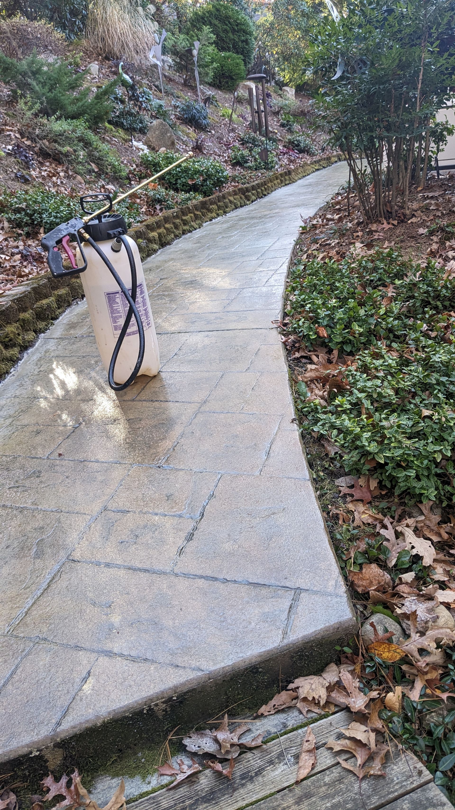 A penguin is walking down a path in a park.