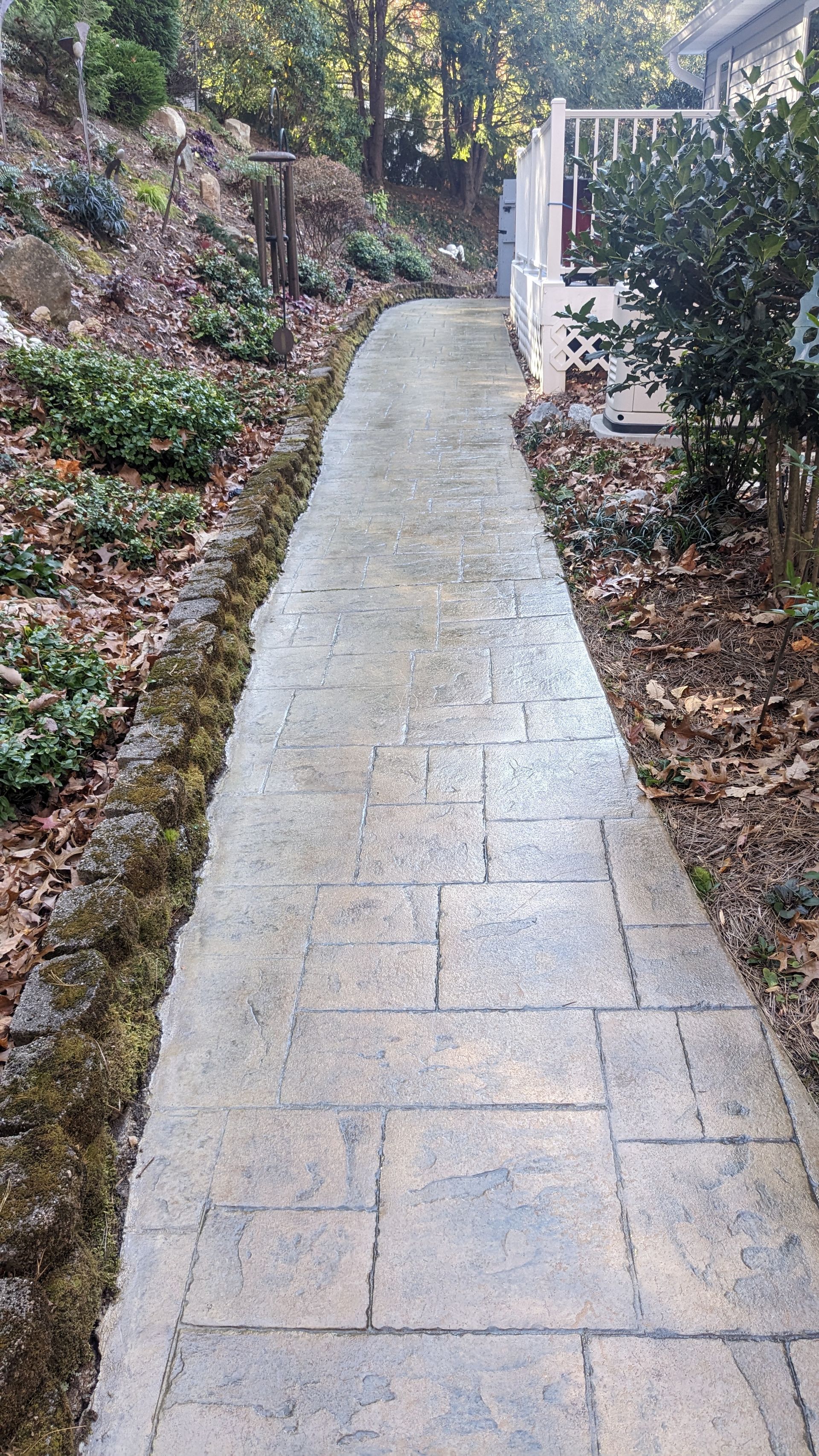 A stone walkway leading to a house in the woods.