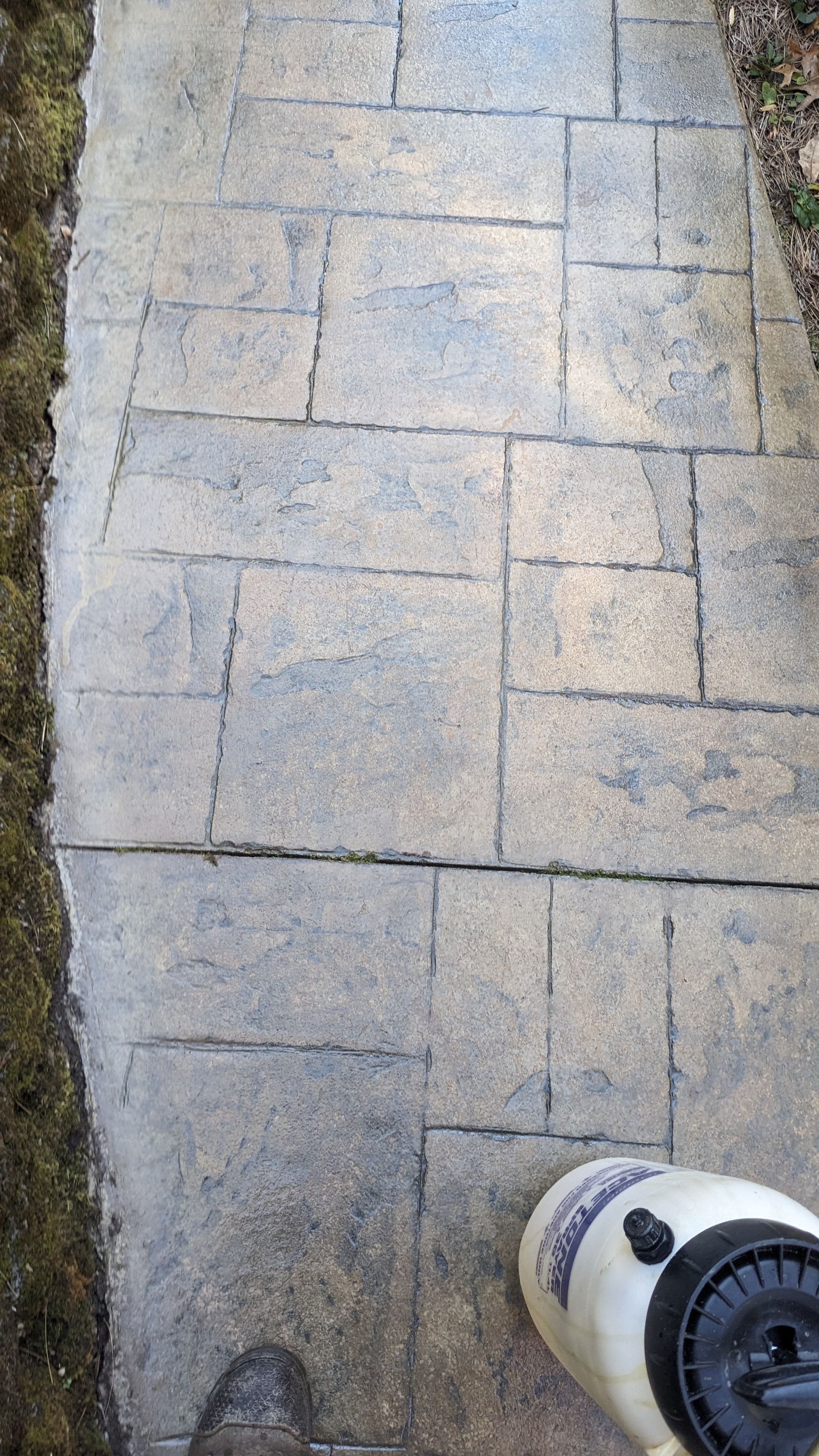 A person is standing on a concrete walkway next to a vacuum cleaner.