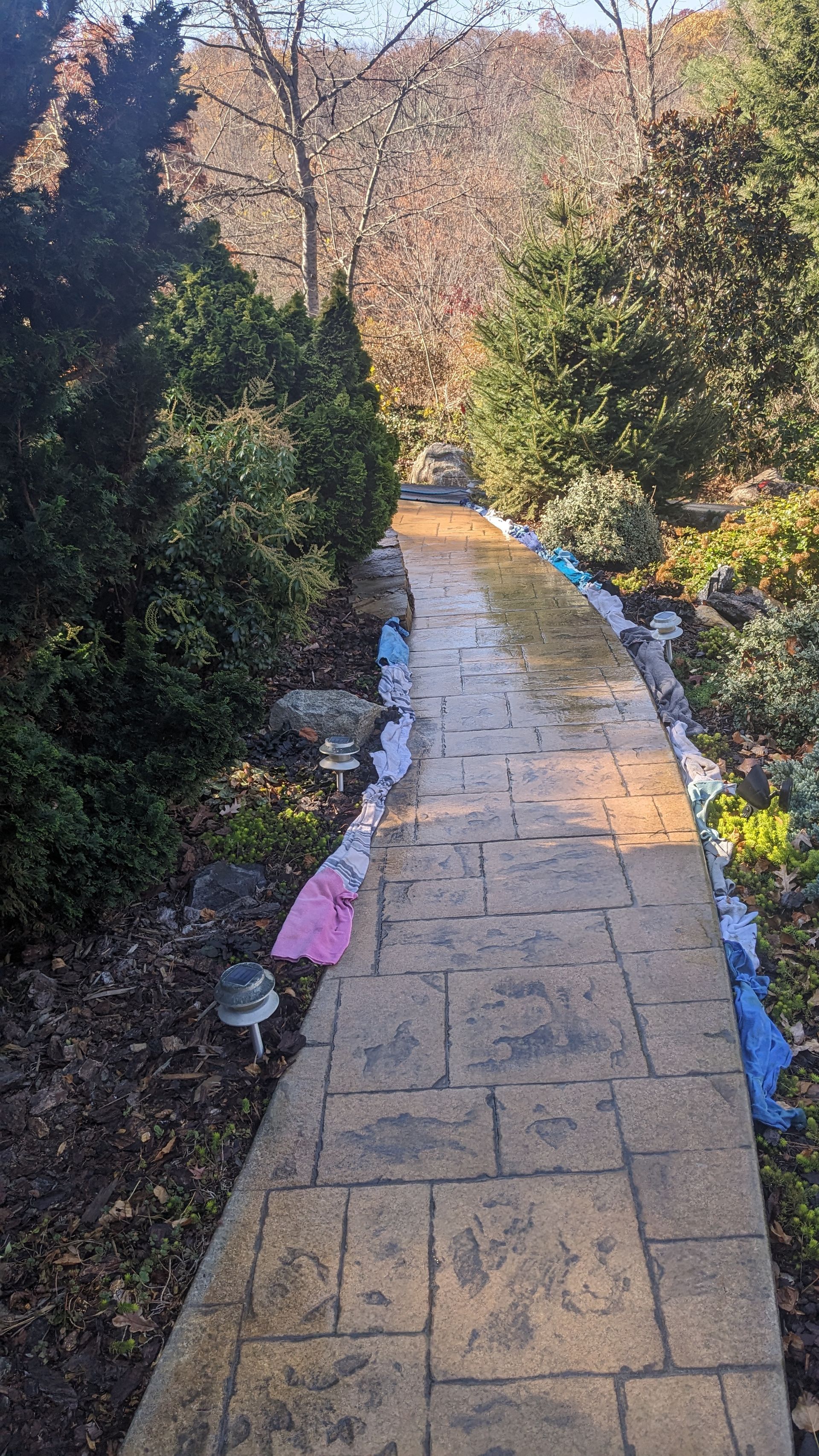 A brick walkway leading to a lush green forest.