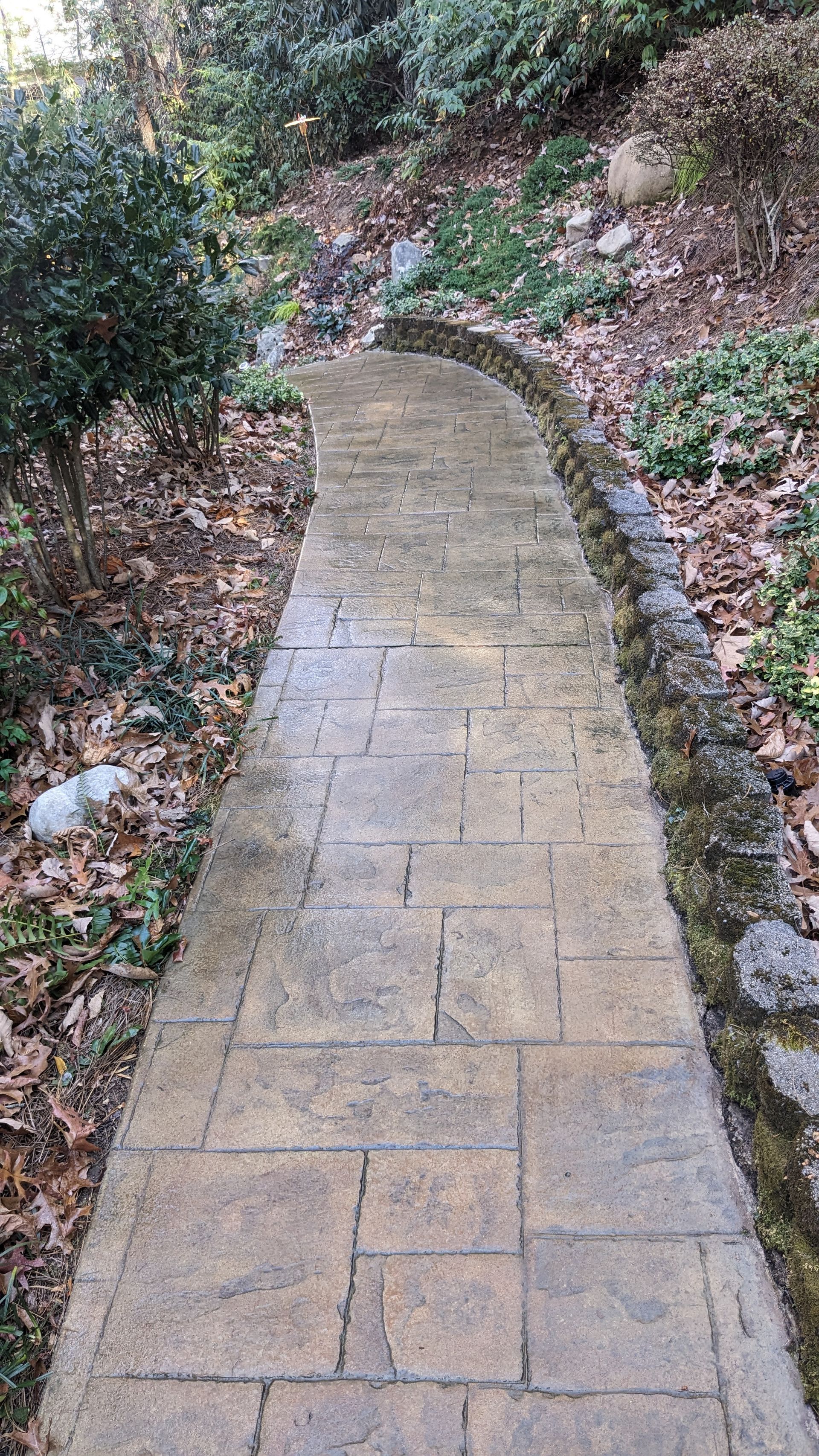 A brick walkway going through a garden surrounded by trees and leaves.
