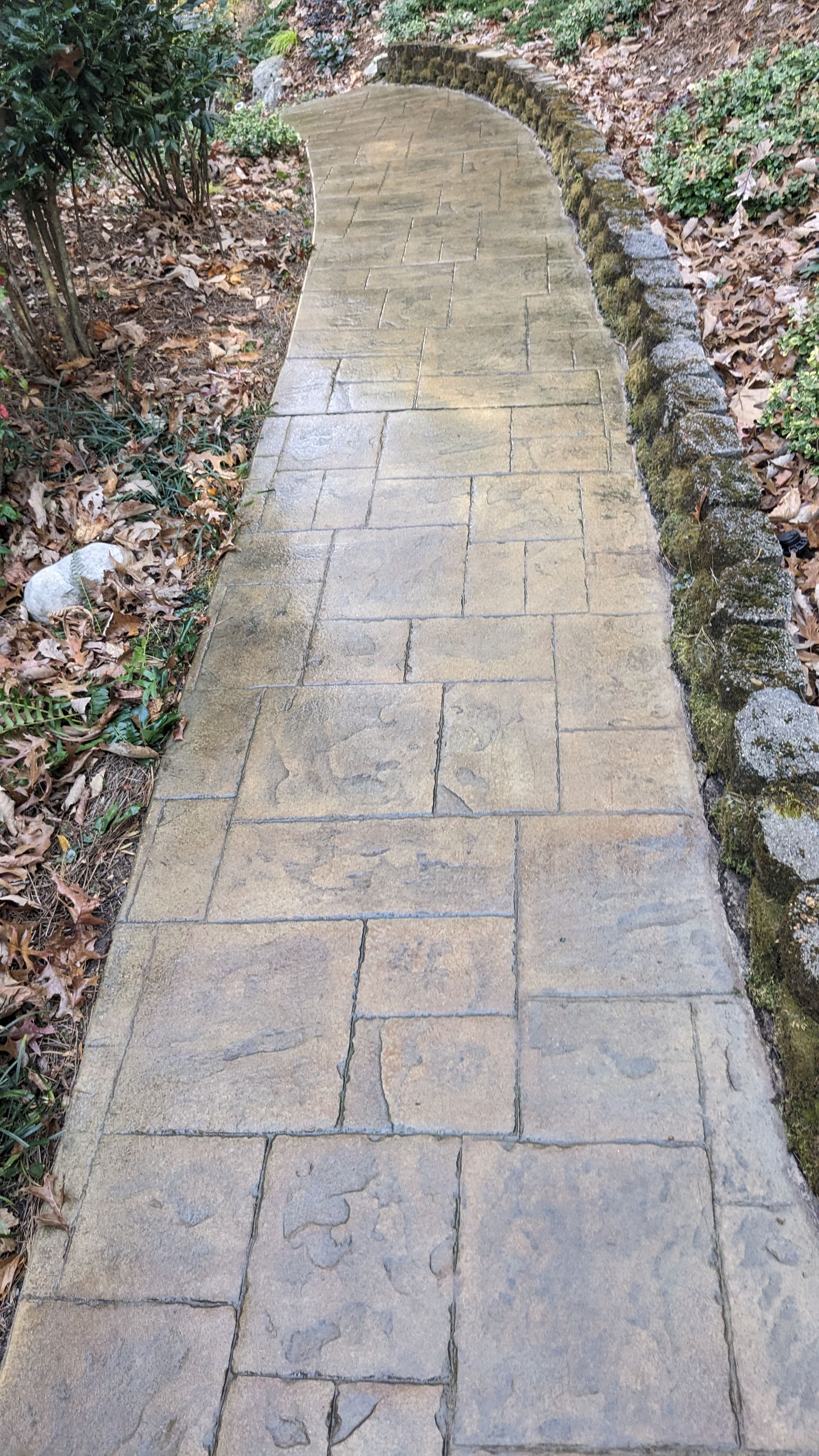 A brick walkway going through a garden surrounded by trees and leaves.