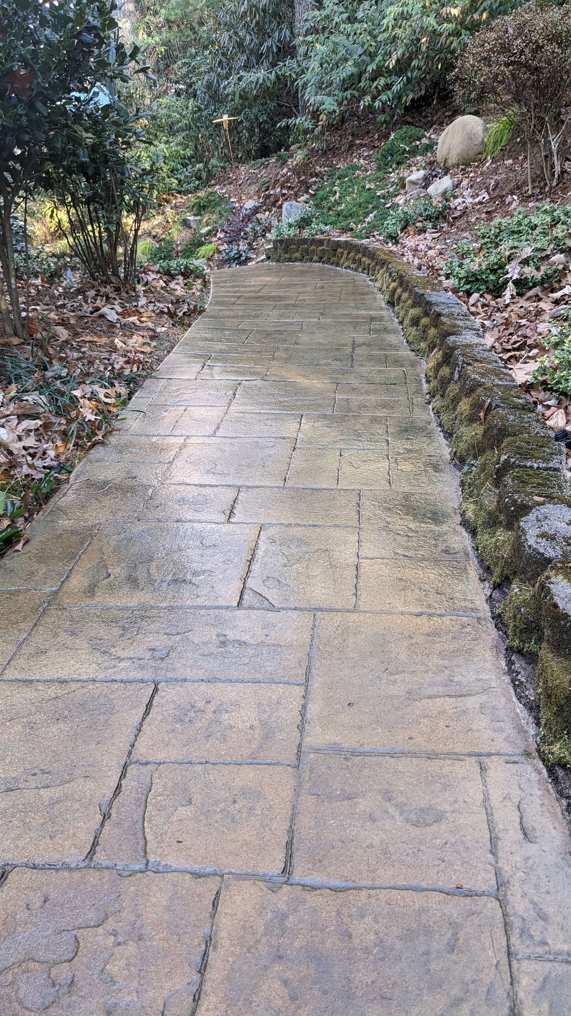 A stone walkway leading to a stone wall in a garden.