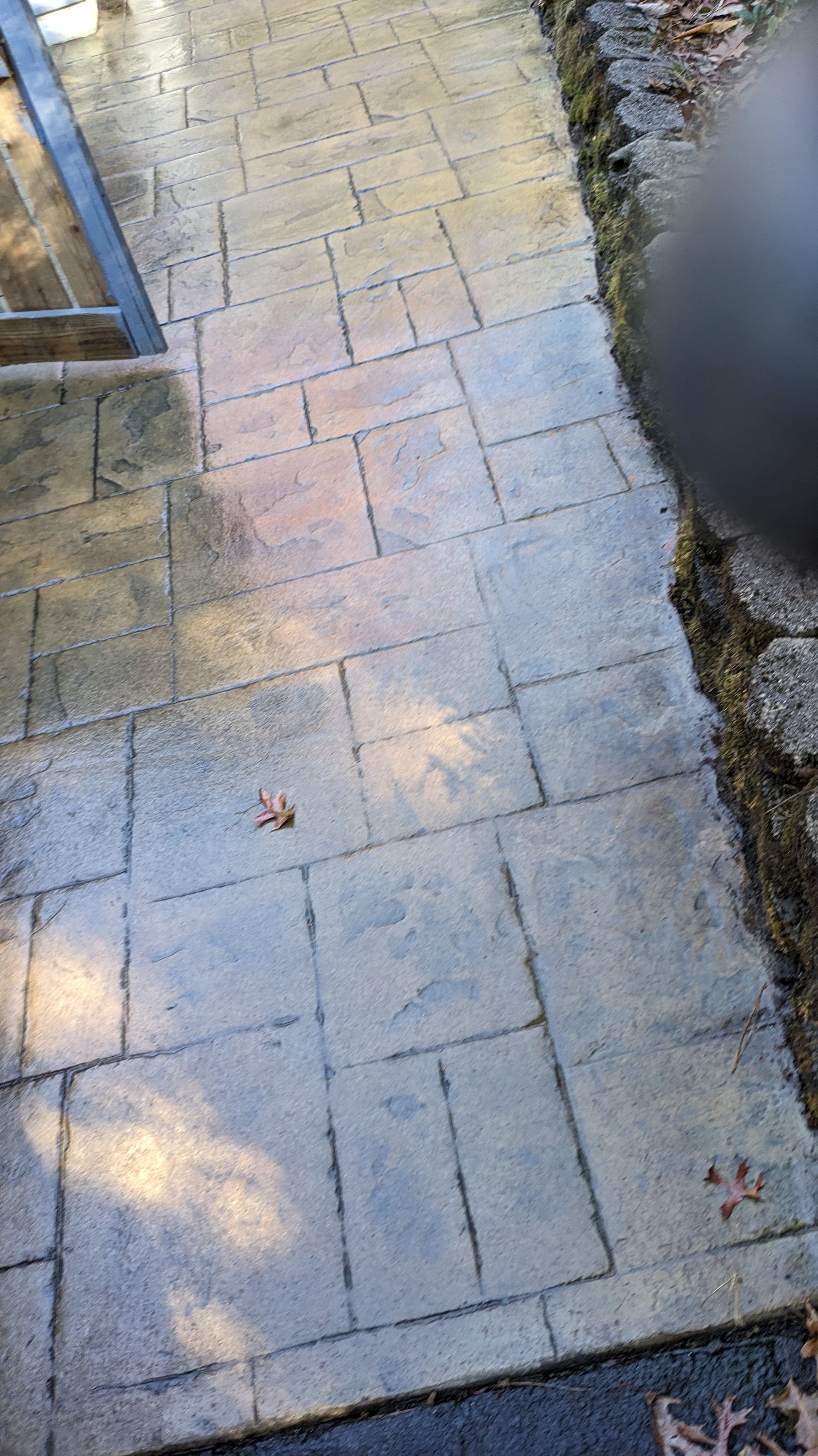 A brick walkway with a leaf on the ground.