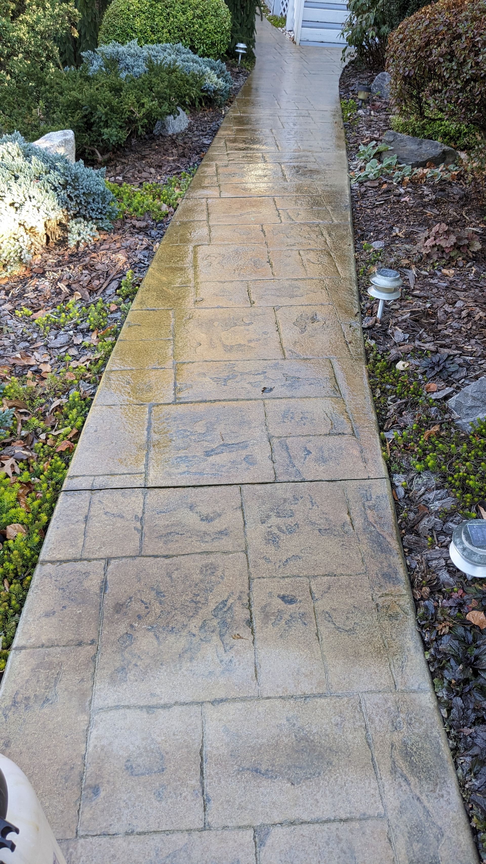 A dirty walkway leading to a house in a garden.