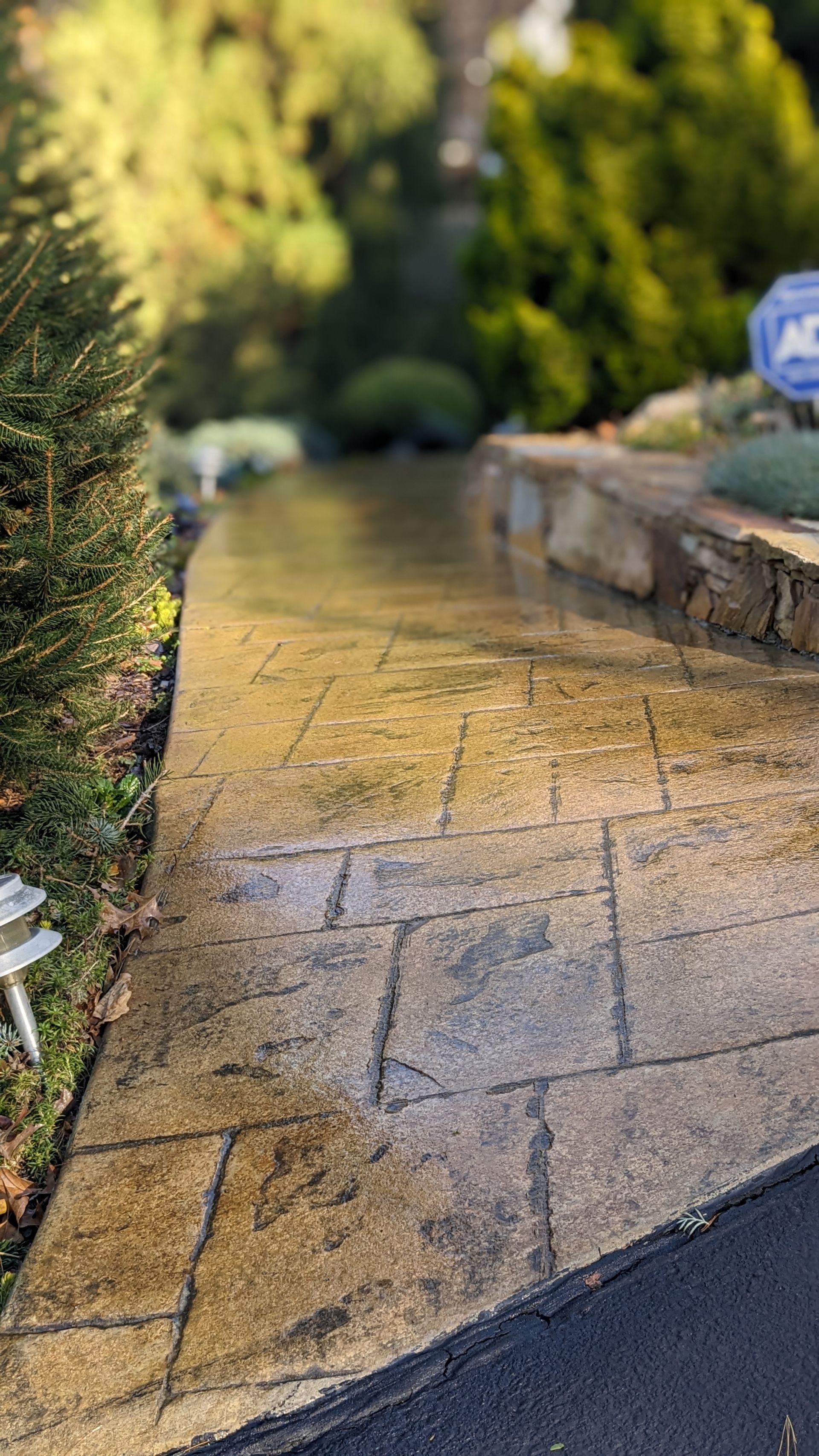A brick walkway leading to a driveway with trees in the background.