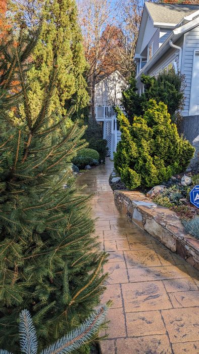 A brick walkway leading to a house surrounded by trees and bushes.