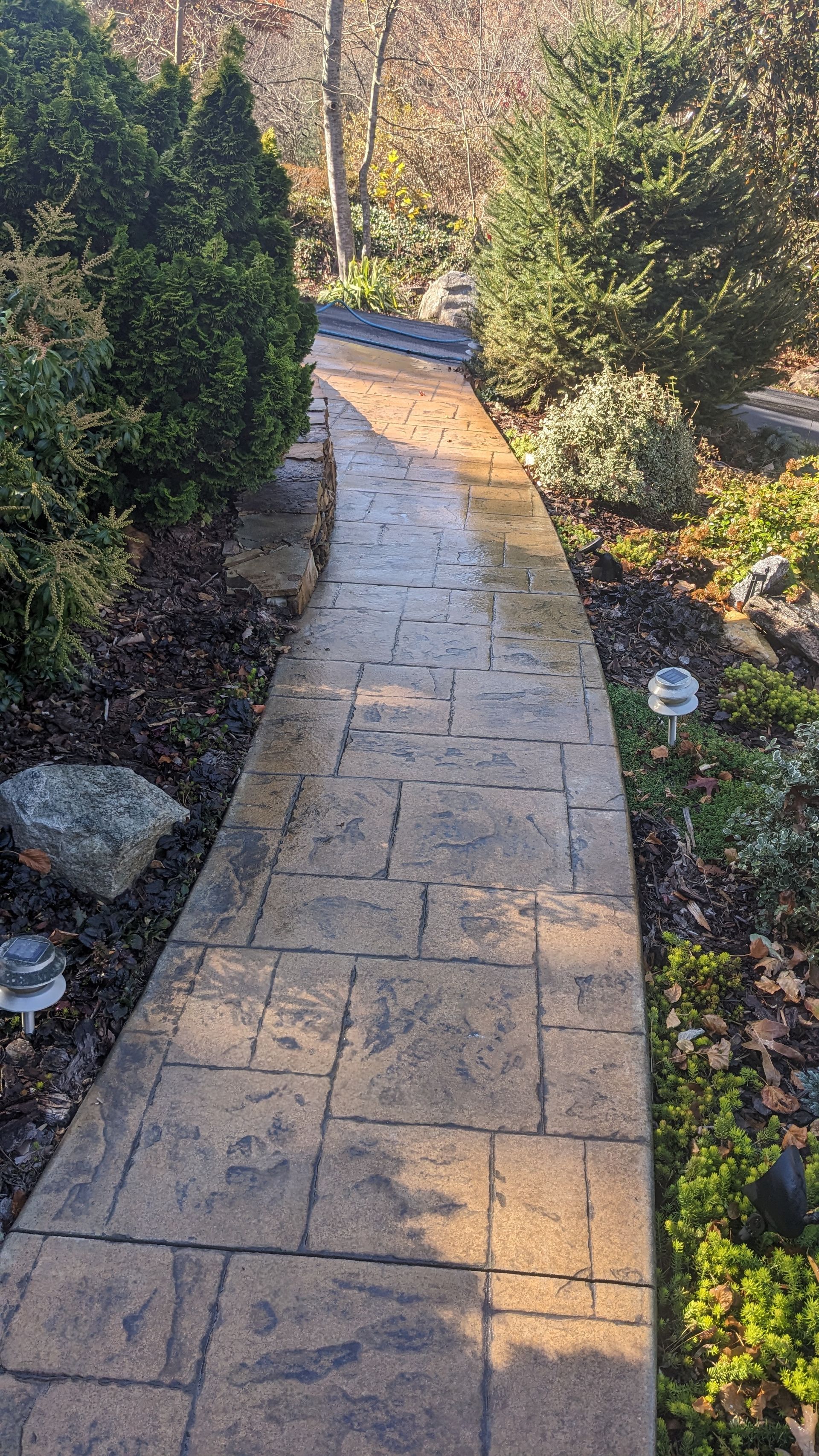 A concrete walkway in a garden surrounded by trees and bushes.