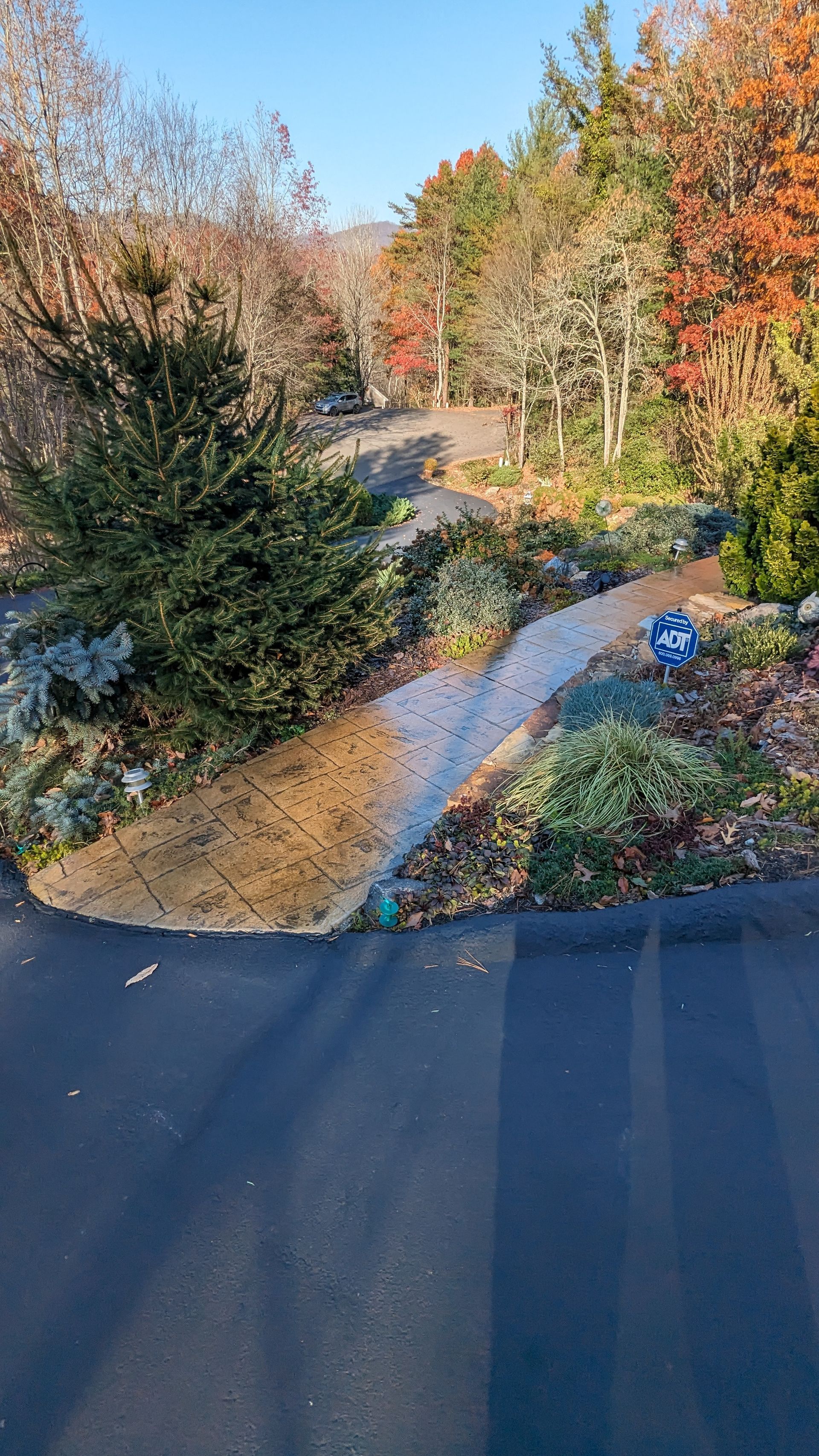 A path in the middle of a forest with trees and bushes.