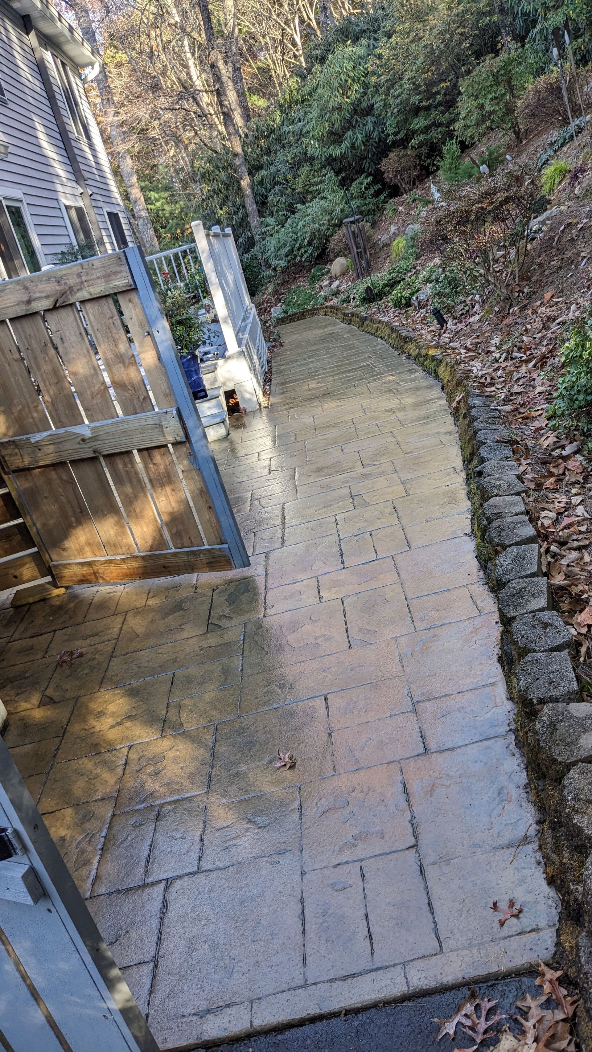 A dog is walking down a sidewalk next to a wooden fence.