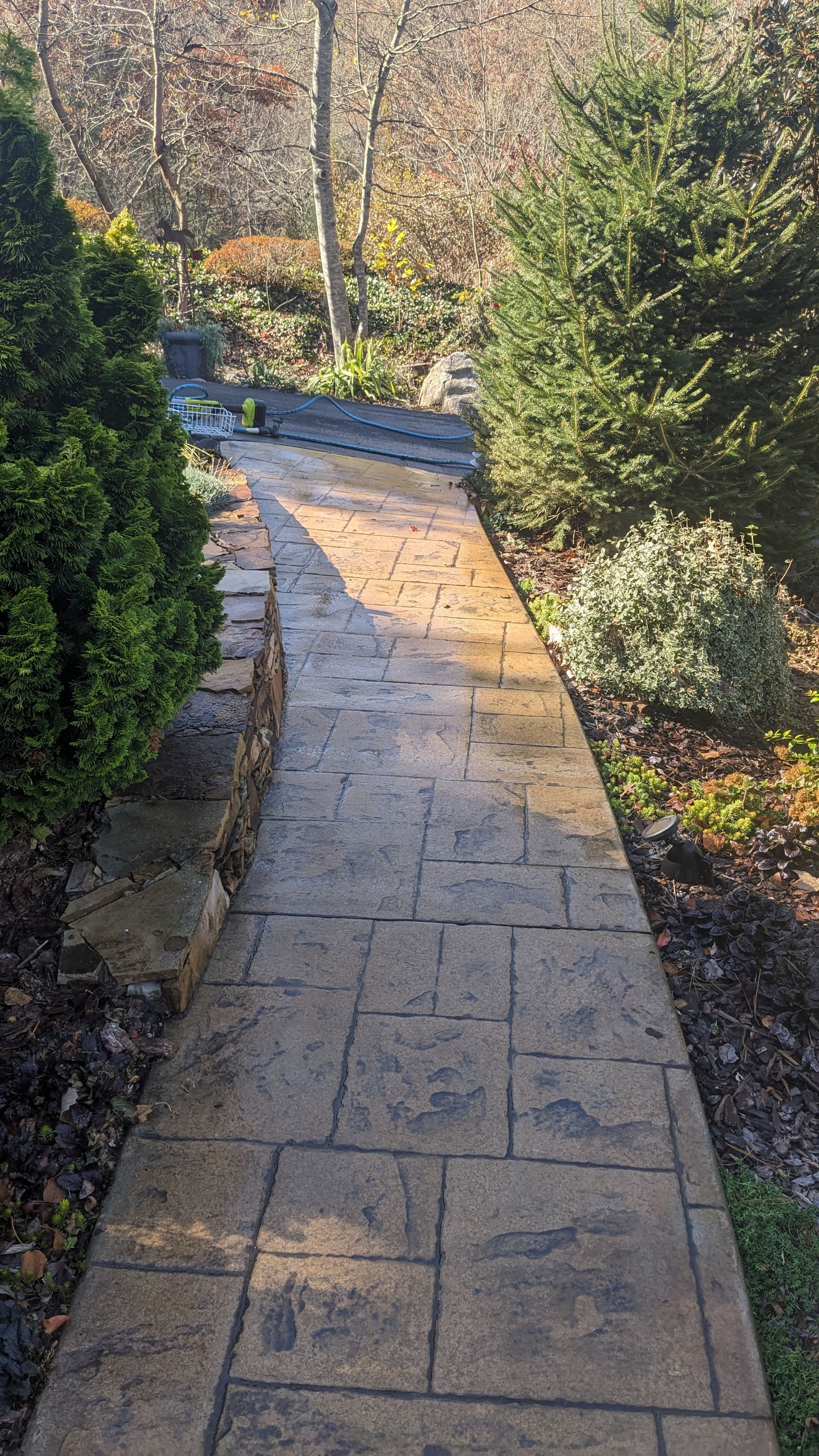 A brick walkway in a garden surrounded by trees and bushes.