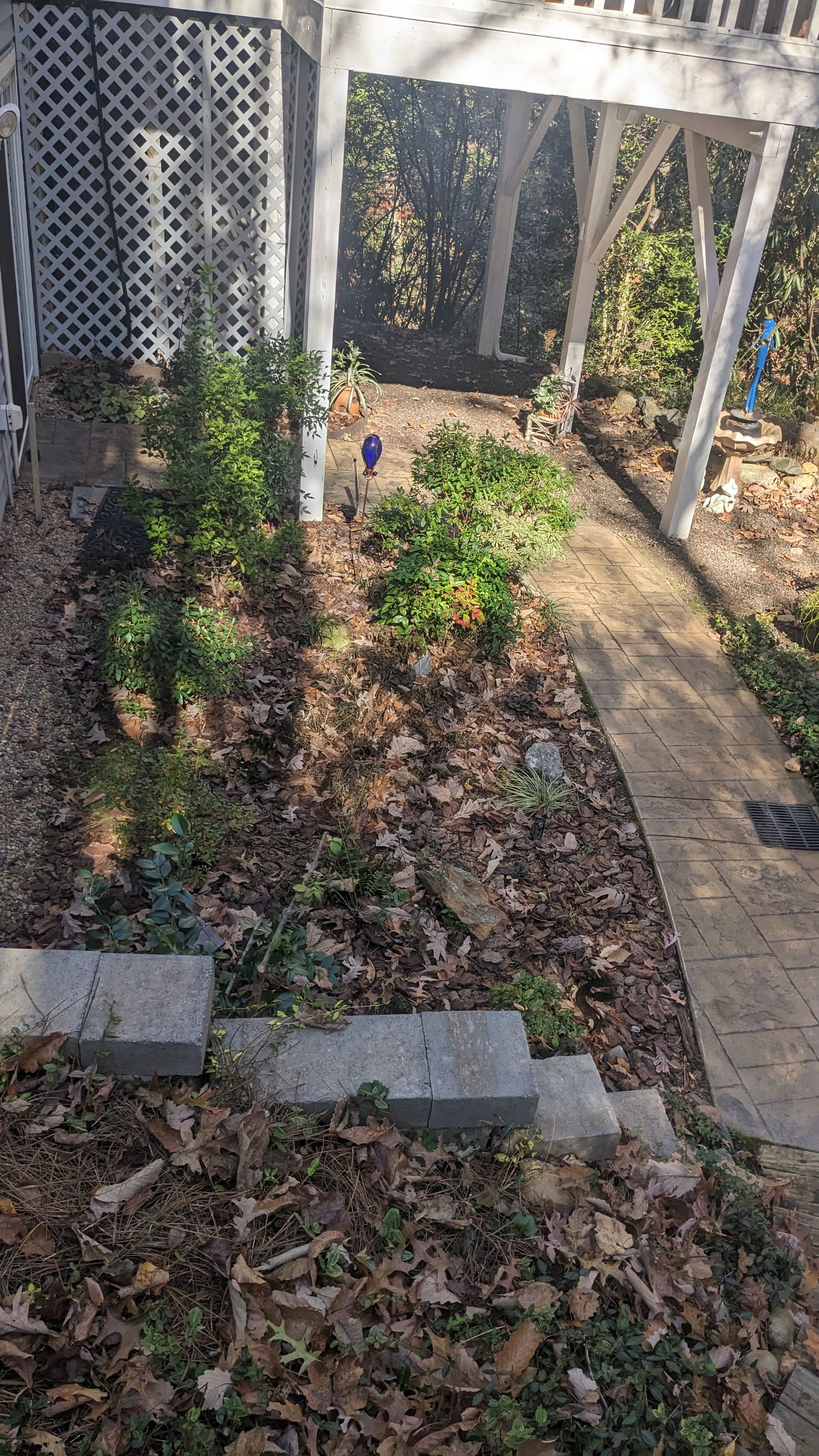 A garden with a walkway and a pergola in the background.