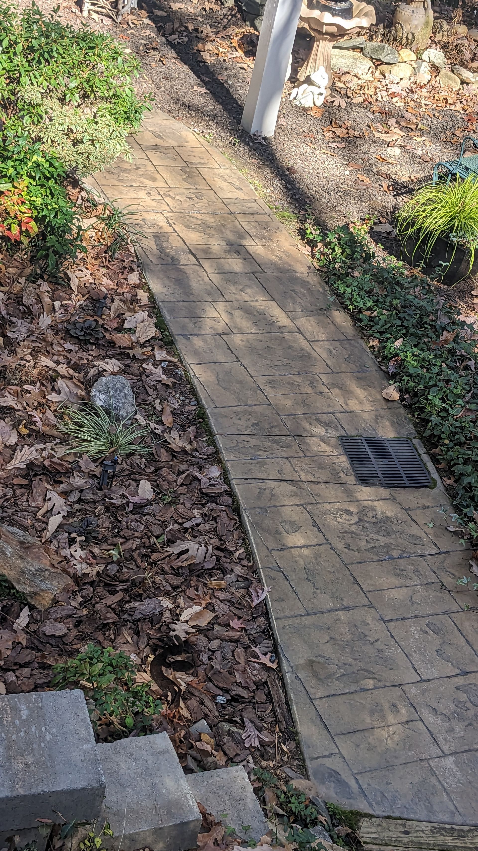 A brick walkway with a drain on the side of it in a garden.