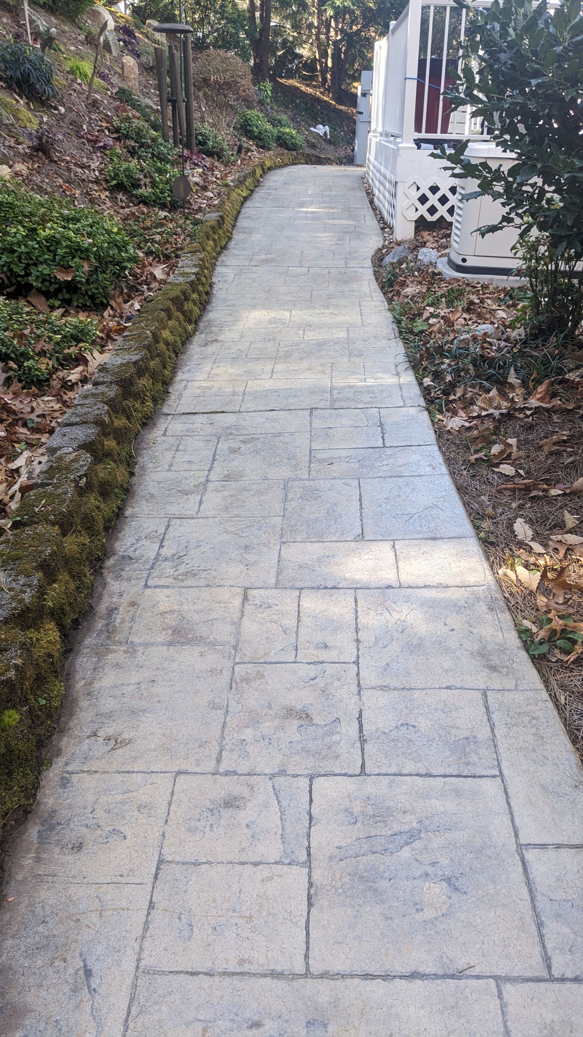 A concrete walkway leading to a house in a garden.