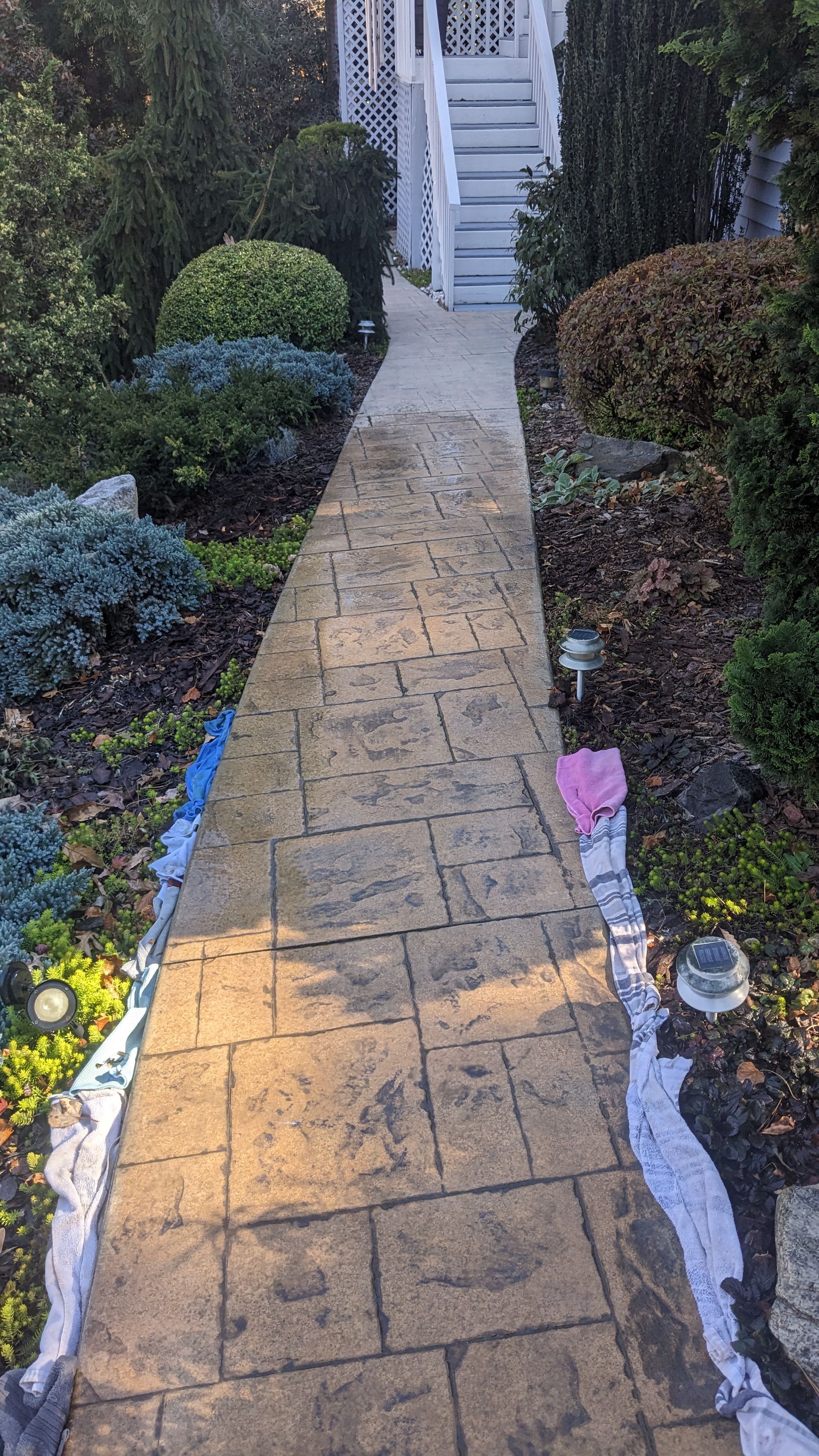 A concrete walkway leading to a house in a garden.