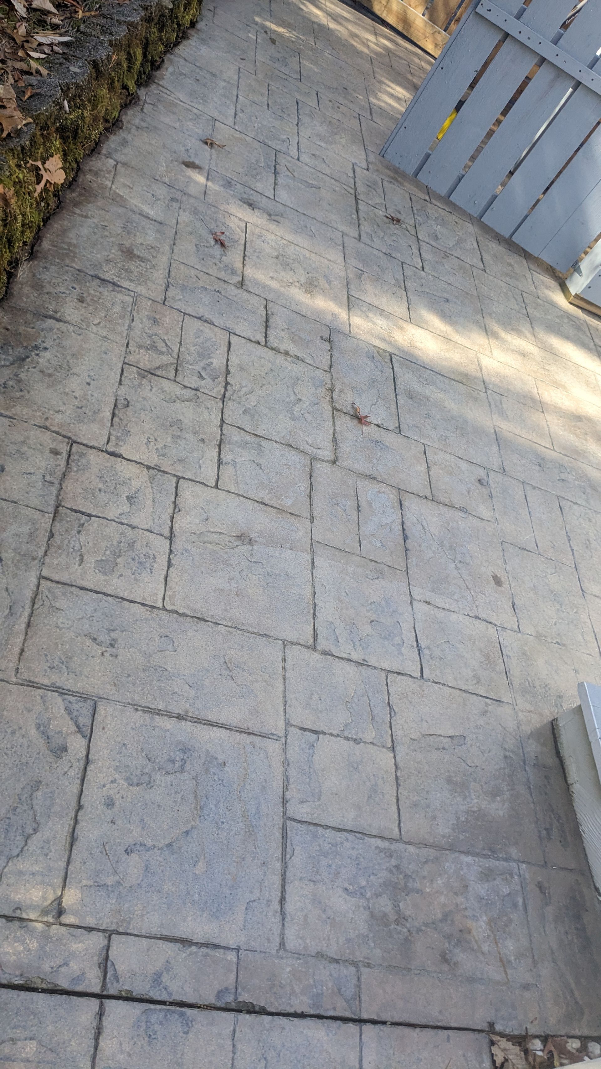 A brick walkway with a wooden fence in the background.