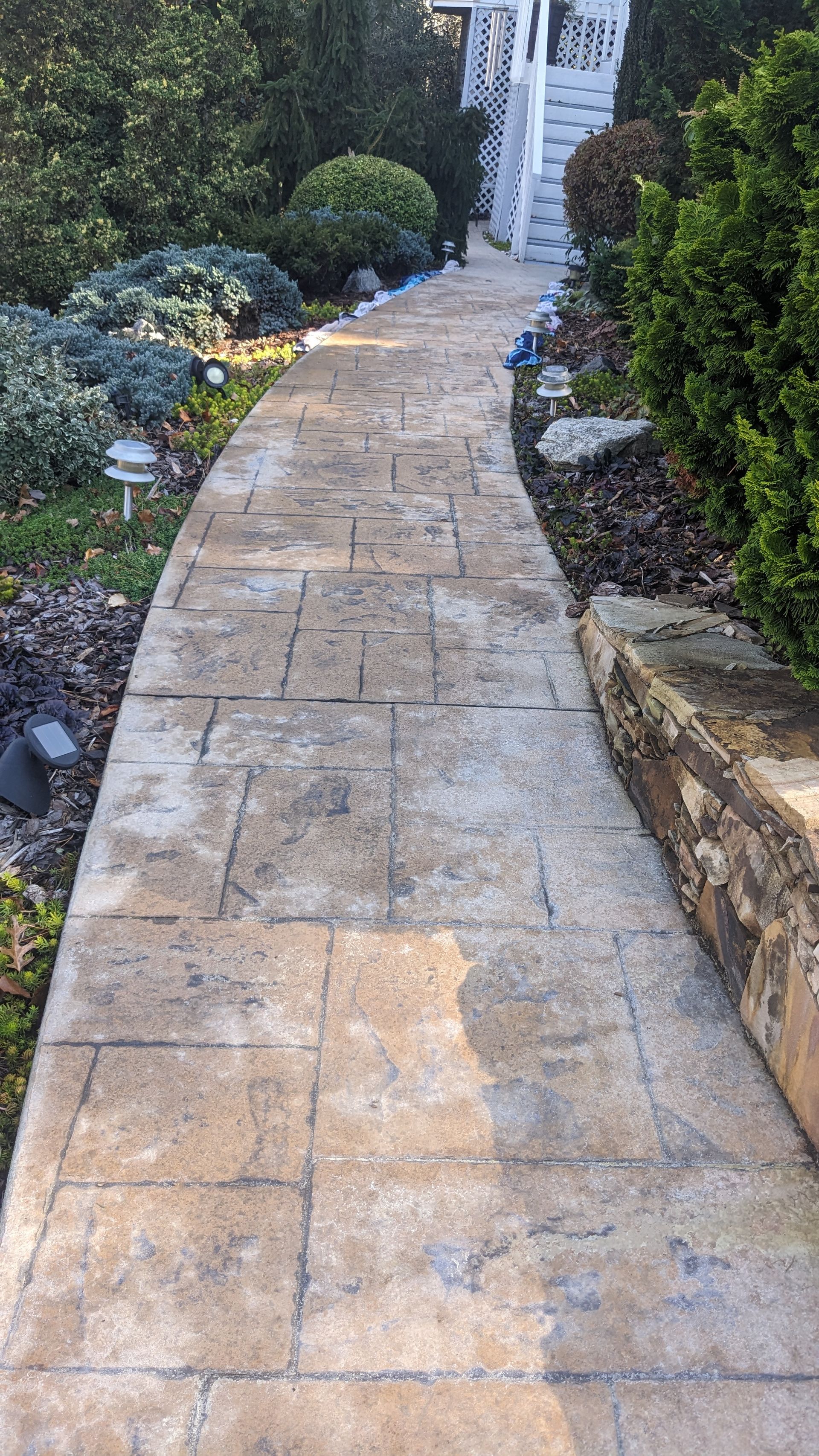 A stone walkway leading to a house surrounded by trees and bushes.