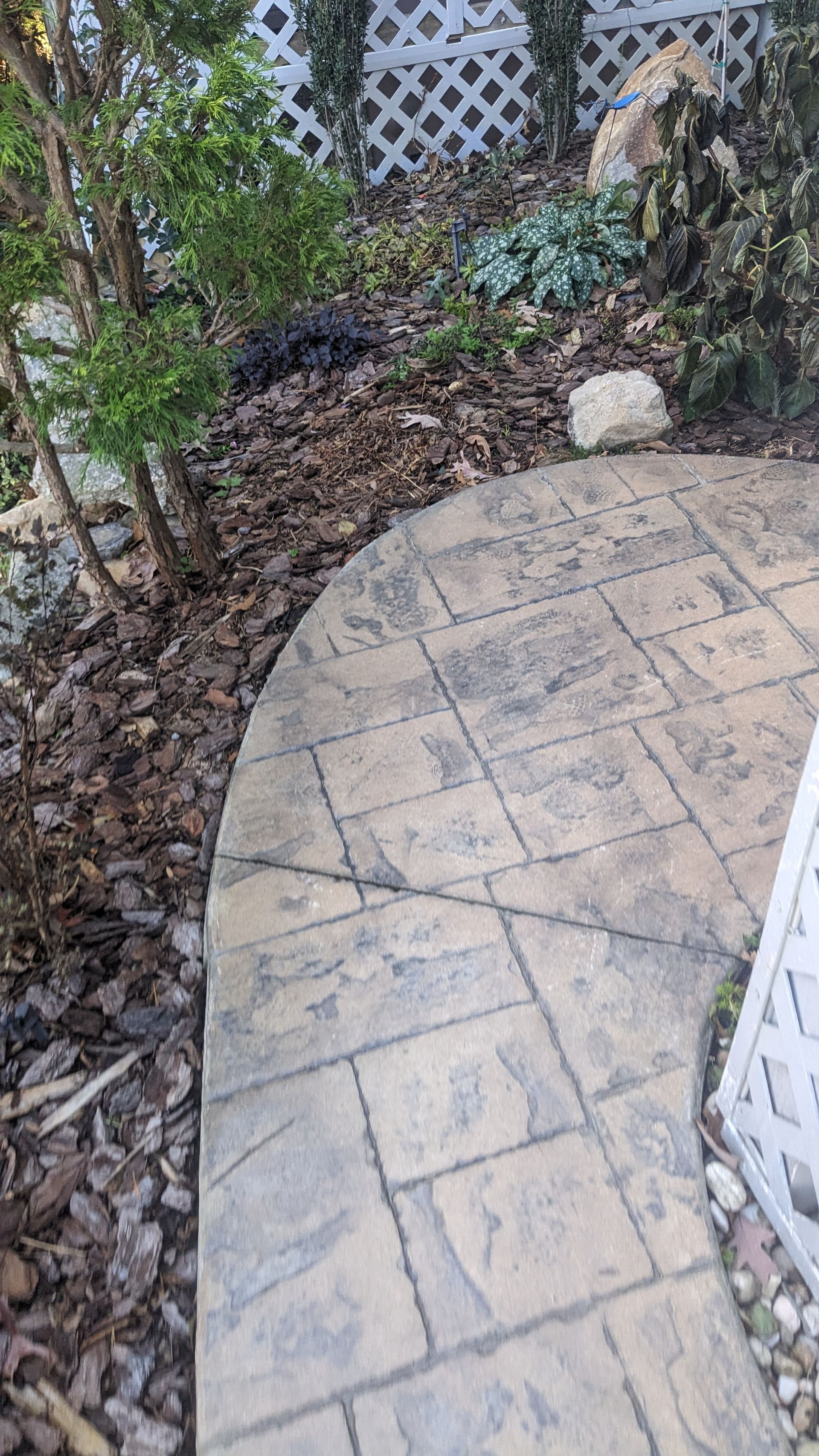 A concrete walkway leading to a fence in a garden.
