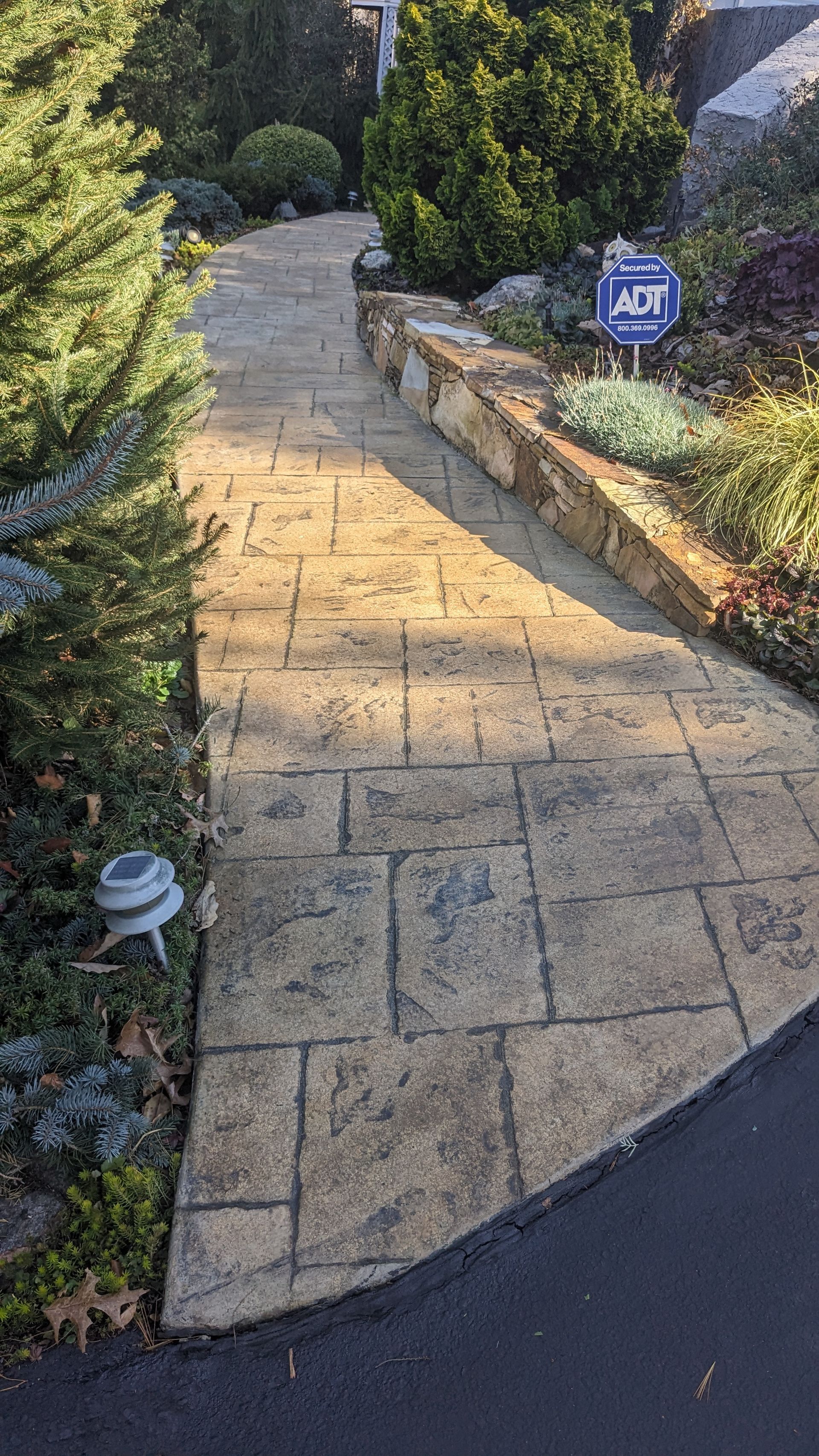 A concrete walkway leading to a house surrounded by trees and bushes.