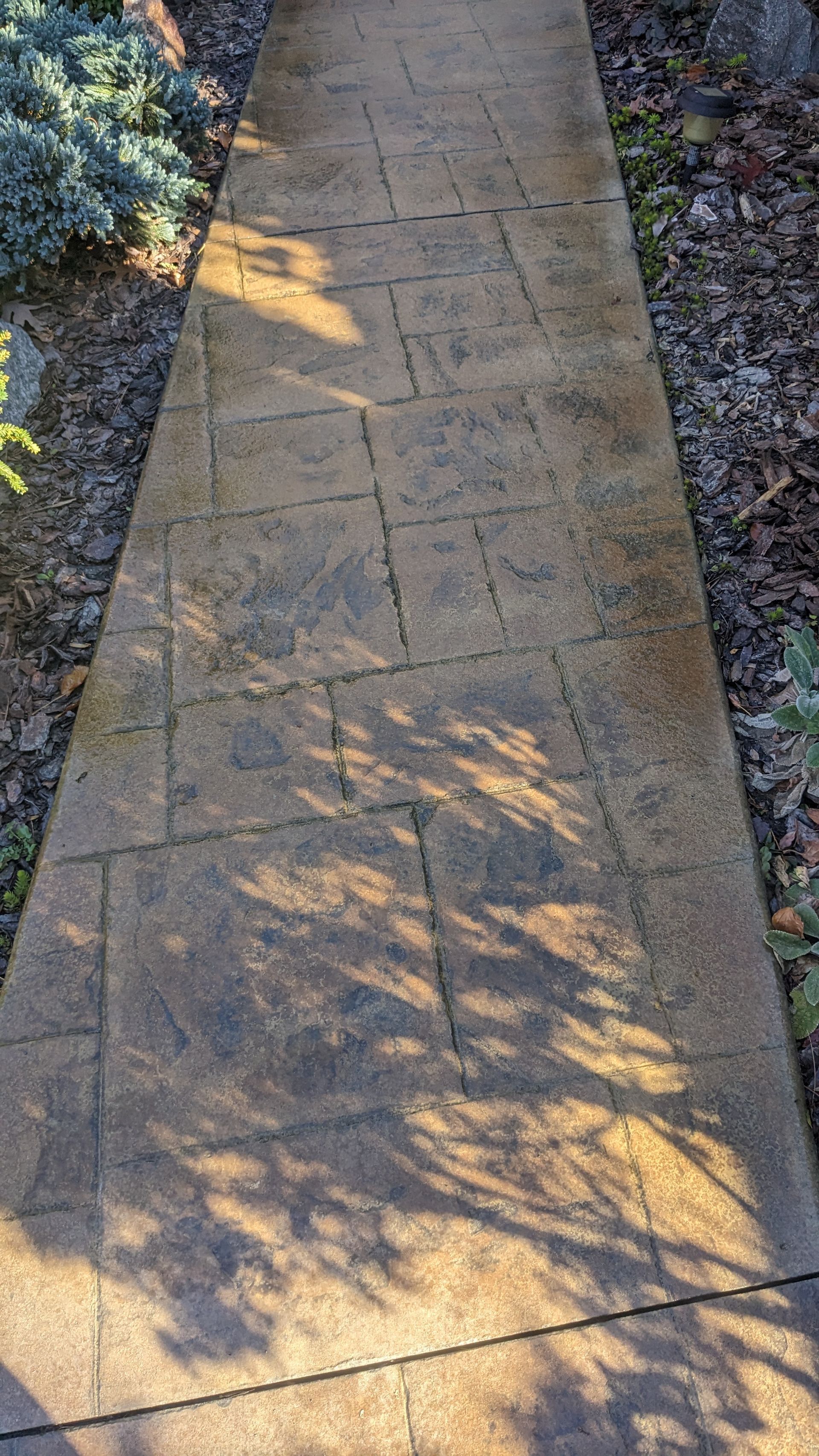 A concrete walkway with a shadow of a tree on it.