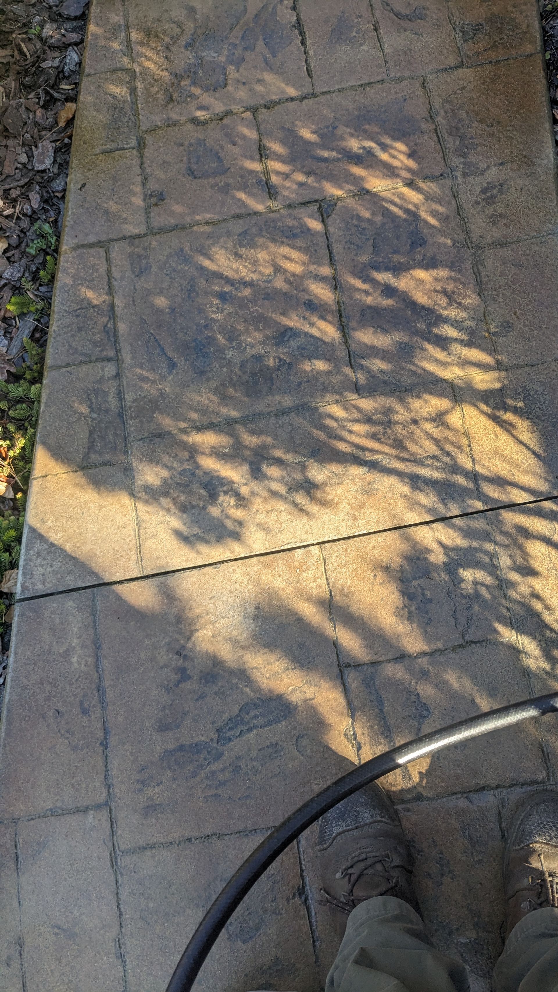 A person is cleaning a brick walkway with a pressure washer.