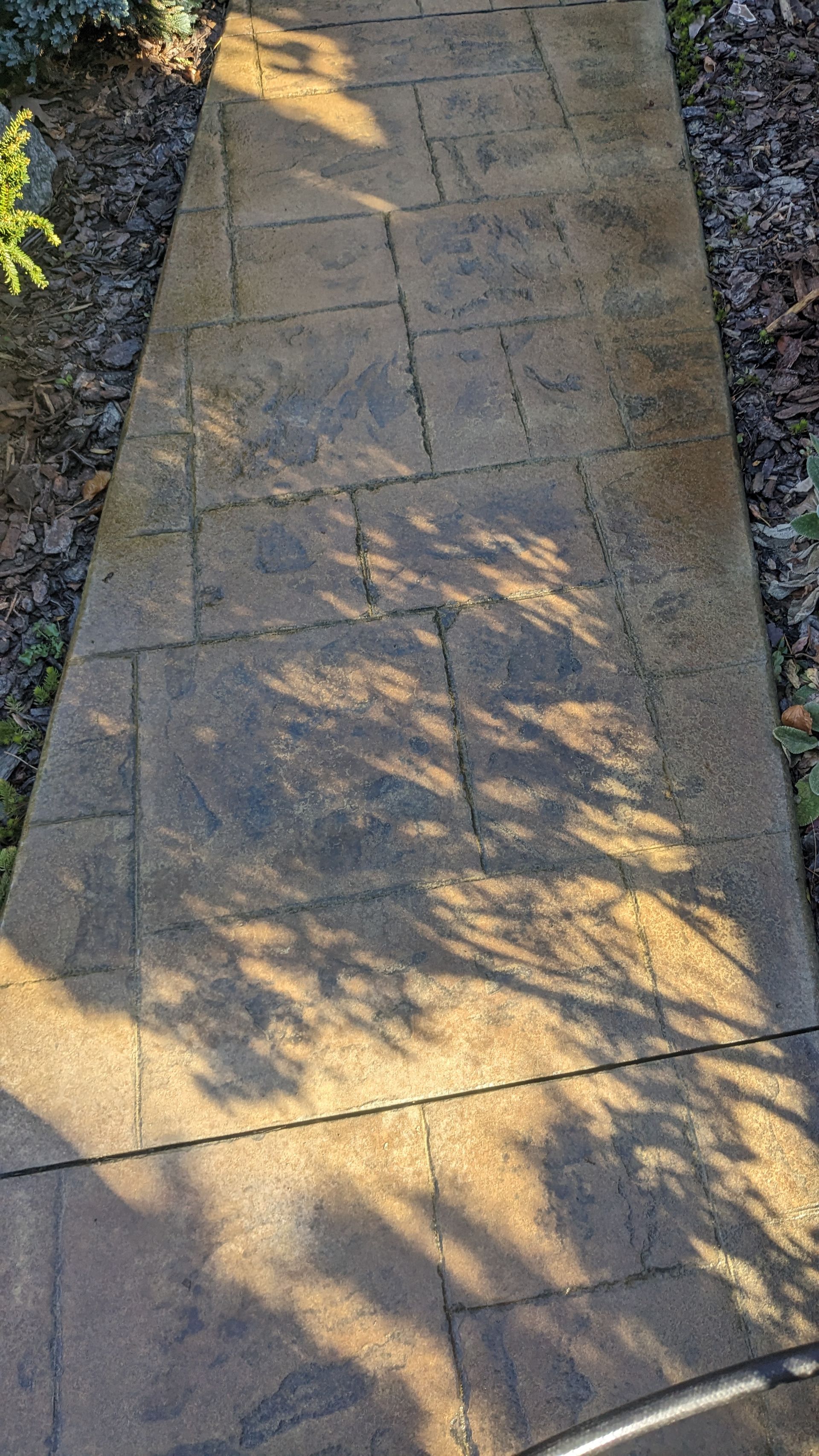 A concrete walkway with a shadow of a tree on it.