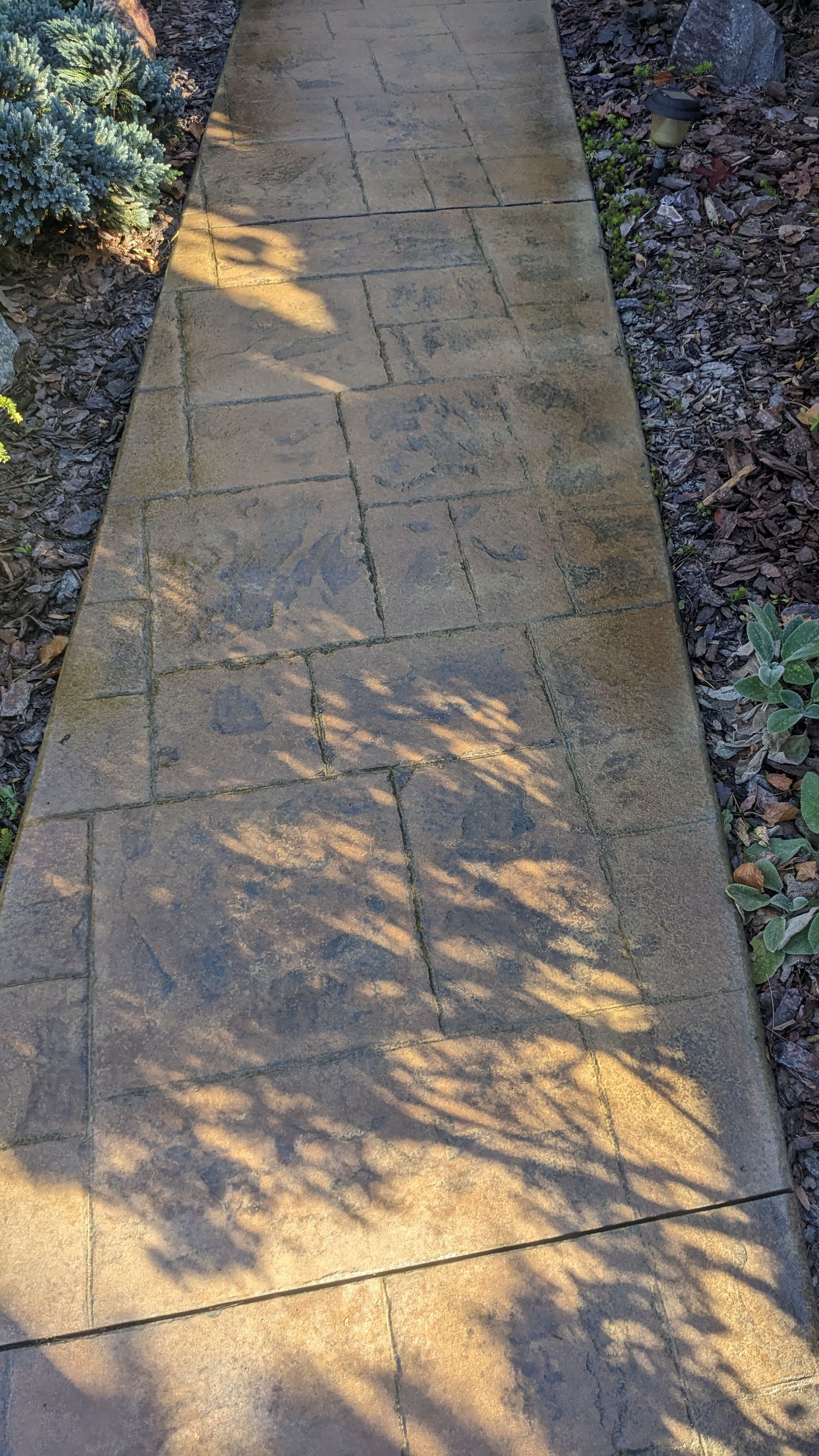 A sidewalk with a shadow of a tree on it.