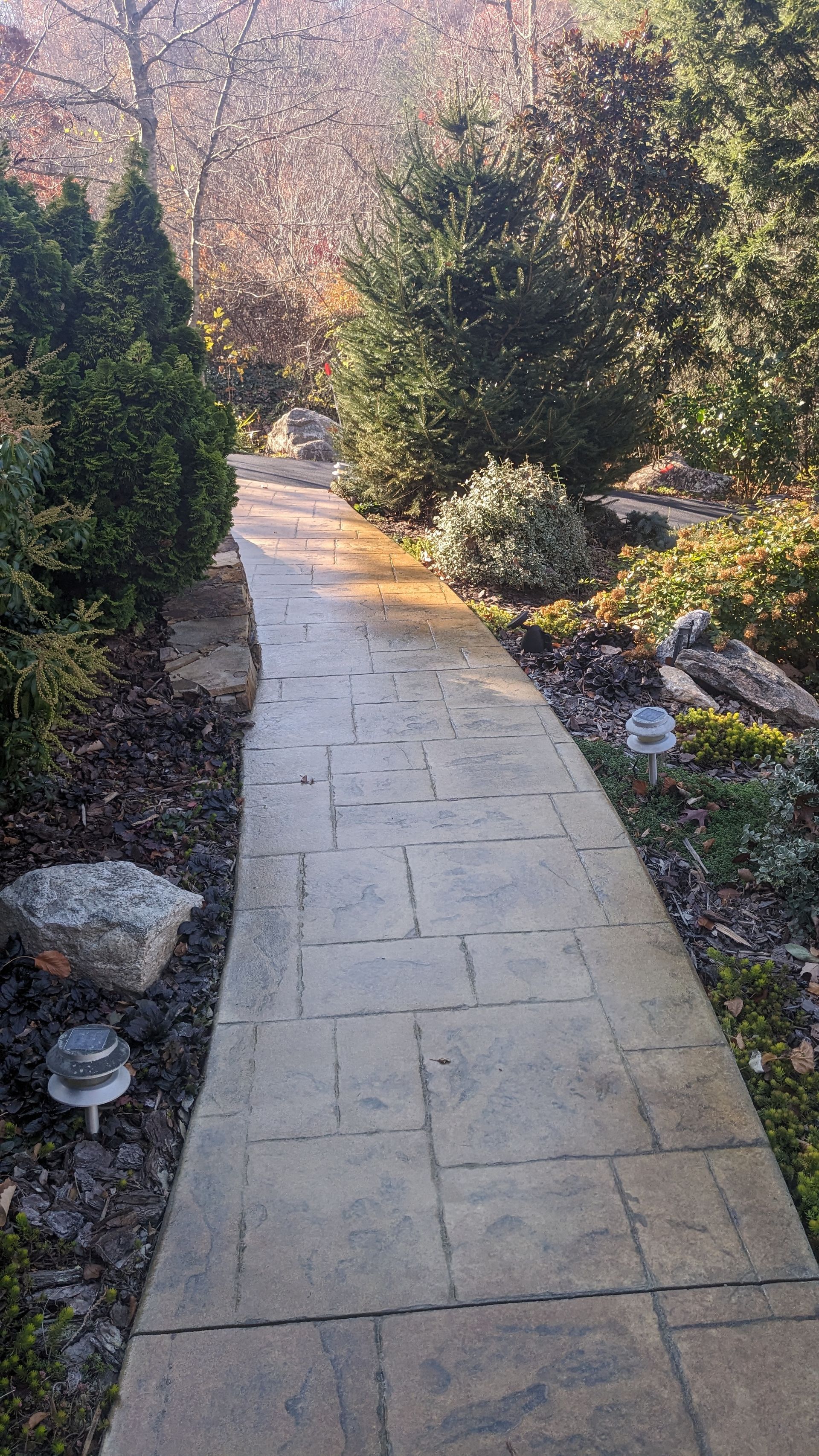 A brick walkway in a garden surrounded by trees and bushes.
