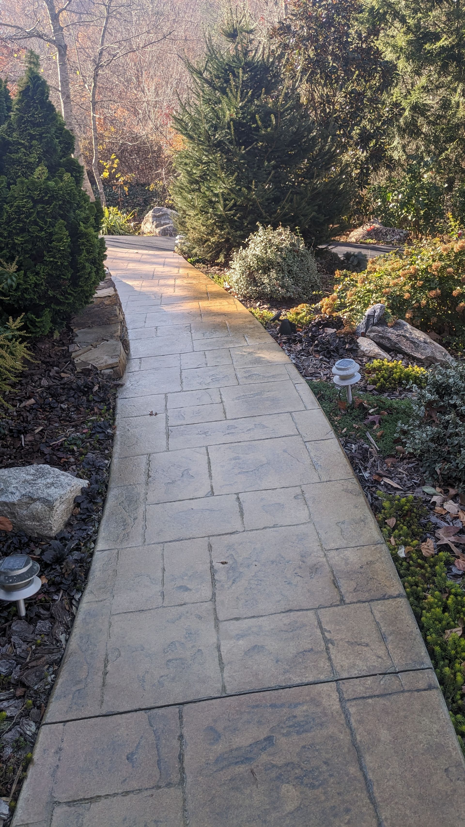 A brick walkway in a garden surrounded by trees and rocks.