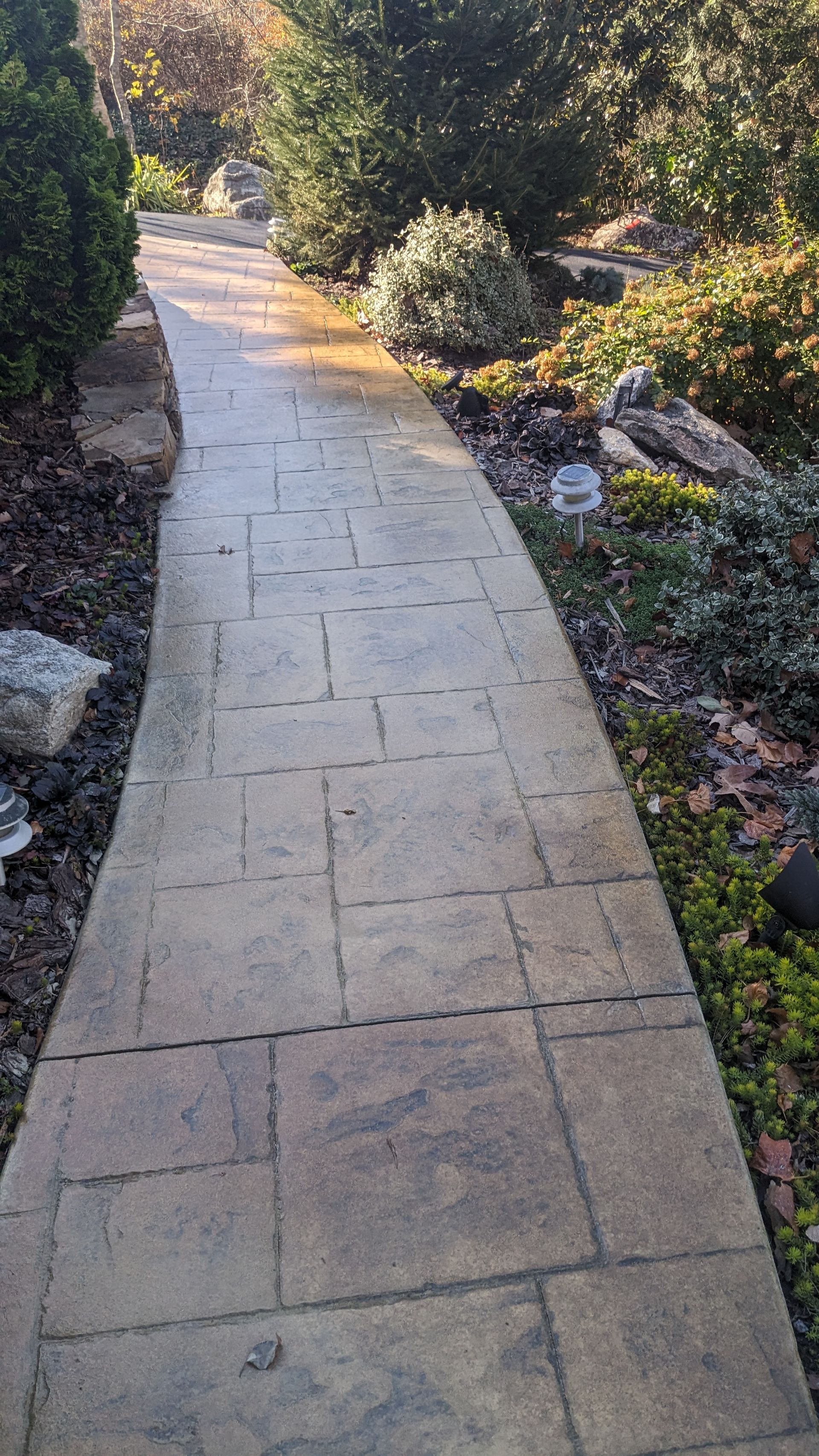 A concrete walkway in a garden surrounded by trees and rocks.