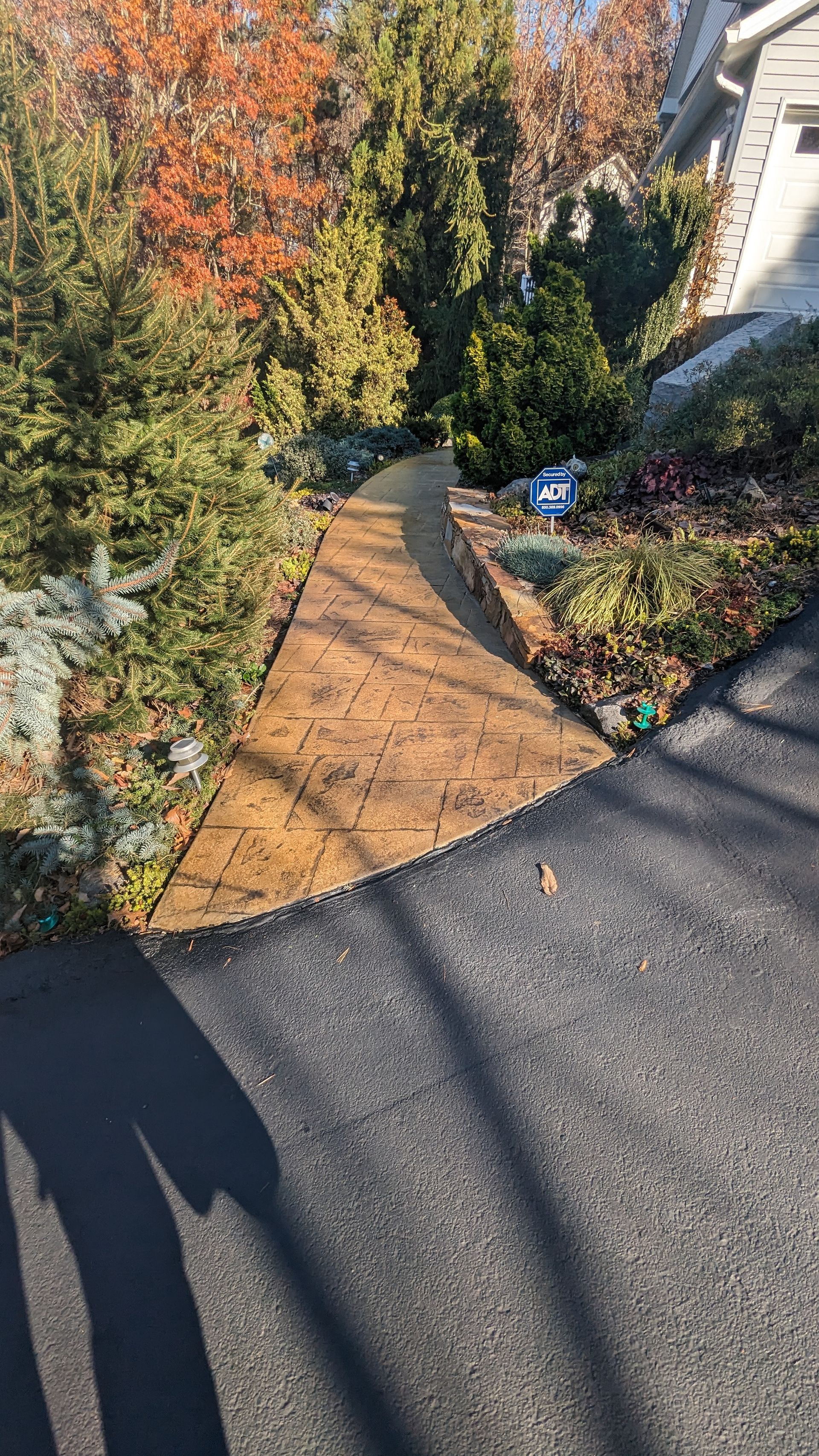 A shadow of a person is cast on a concrete walkway leading to a house.